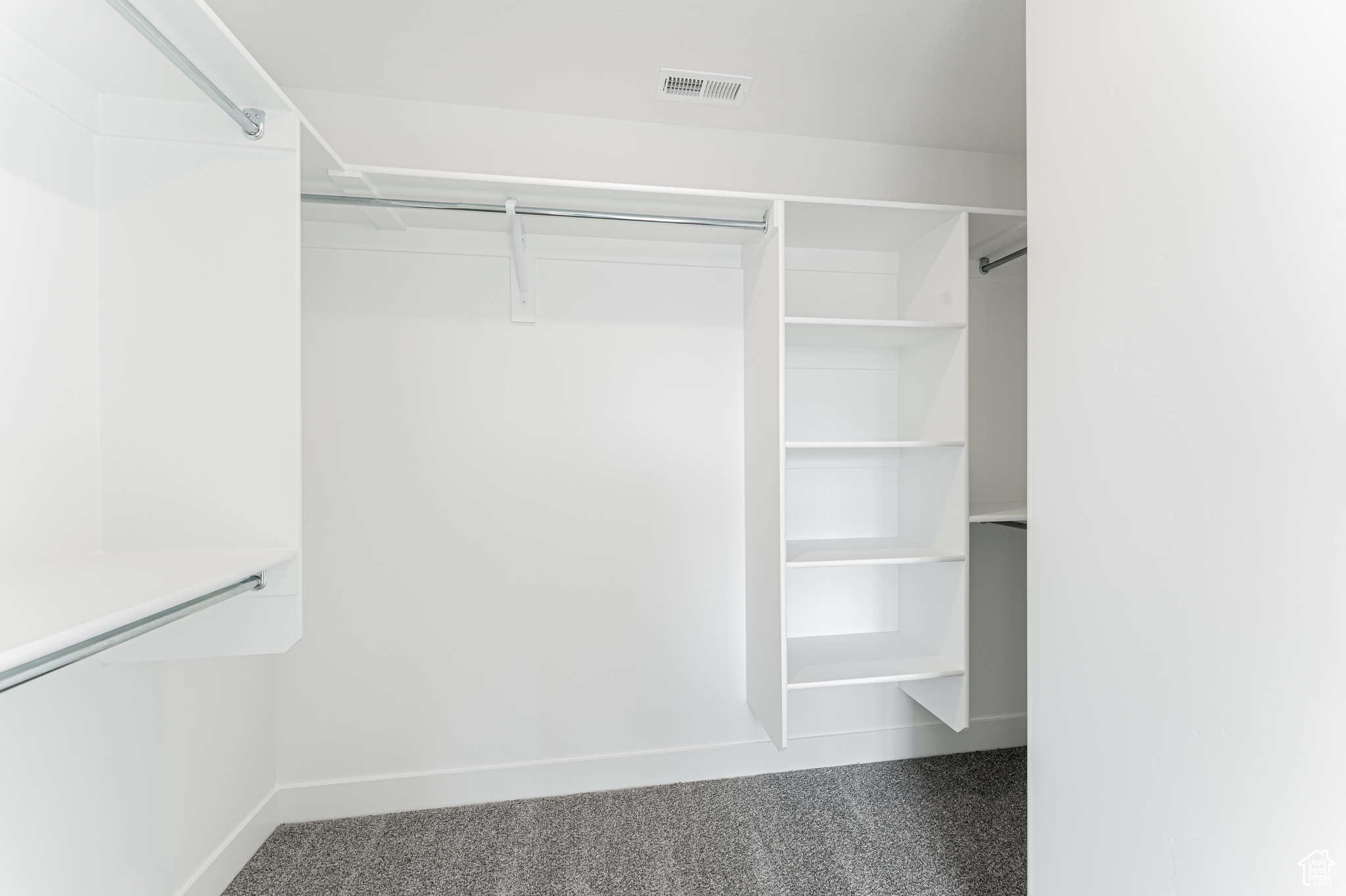 Walk in closet featuring carpet floors