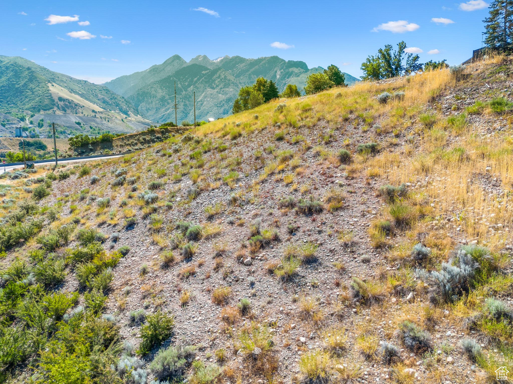 2938 E HOLLOW MILL, Cottonwood Heights, Utah 84121, ,Land,For sale,HOLLOW MILL,2010217