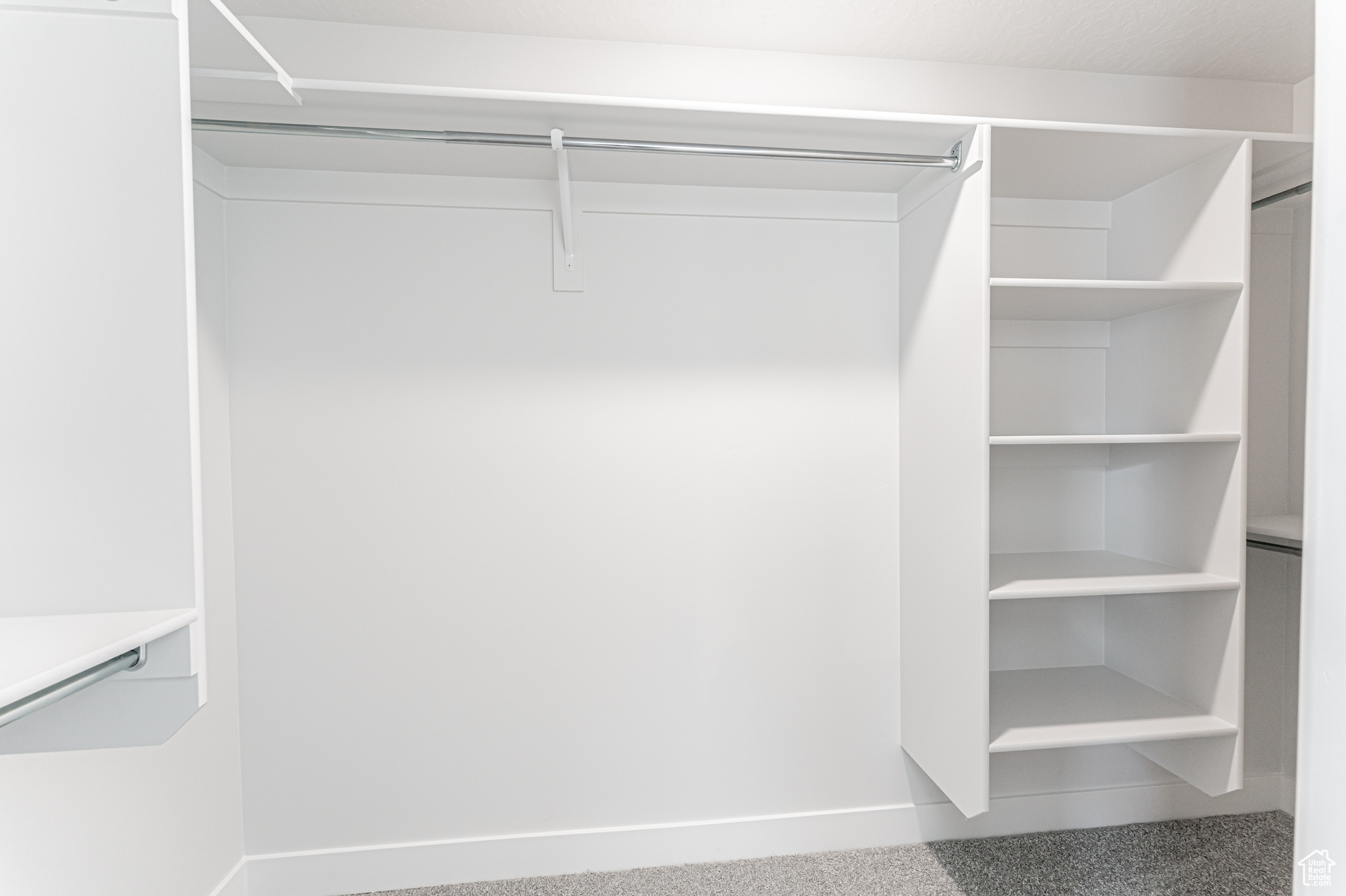 Spacious closet featuring carpet flooring