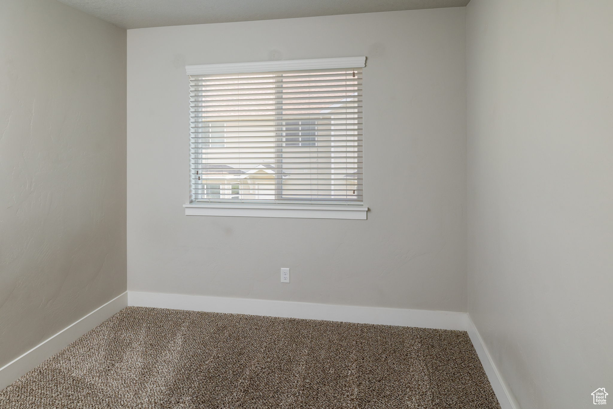 Carpeted spare room featuring a wealth of natural light