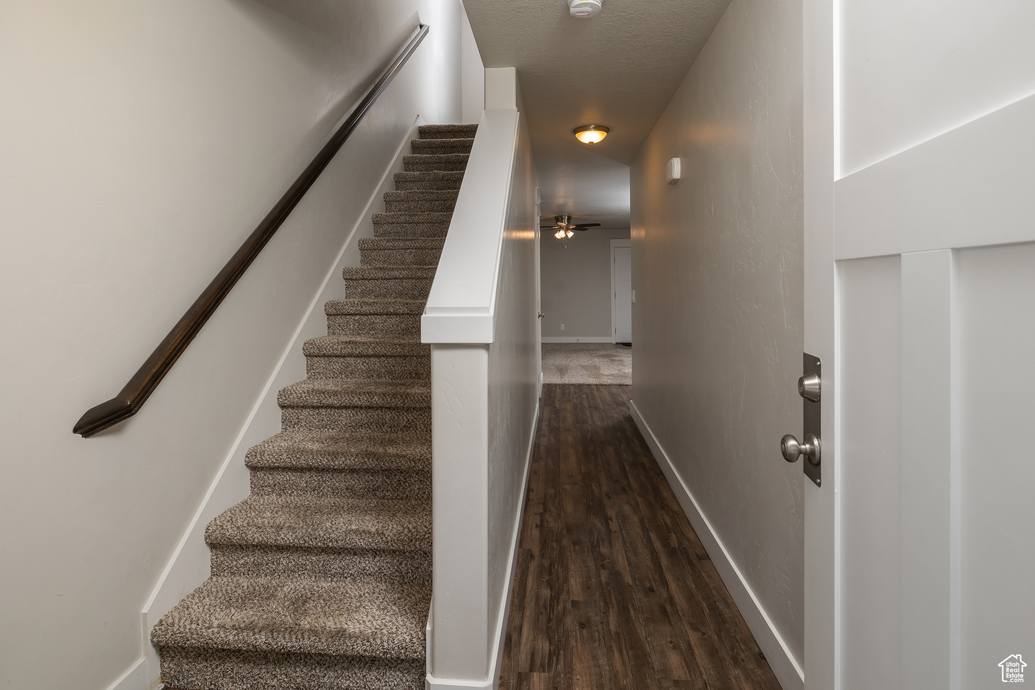 Stairway with dark hardwood / wood-style flooring