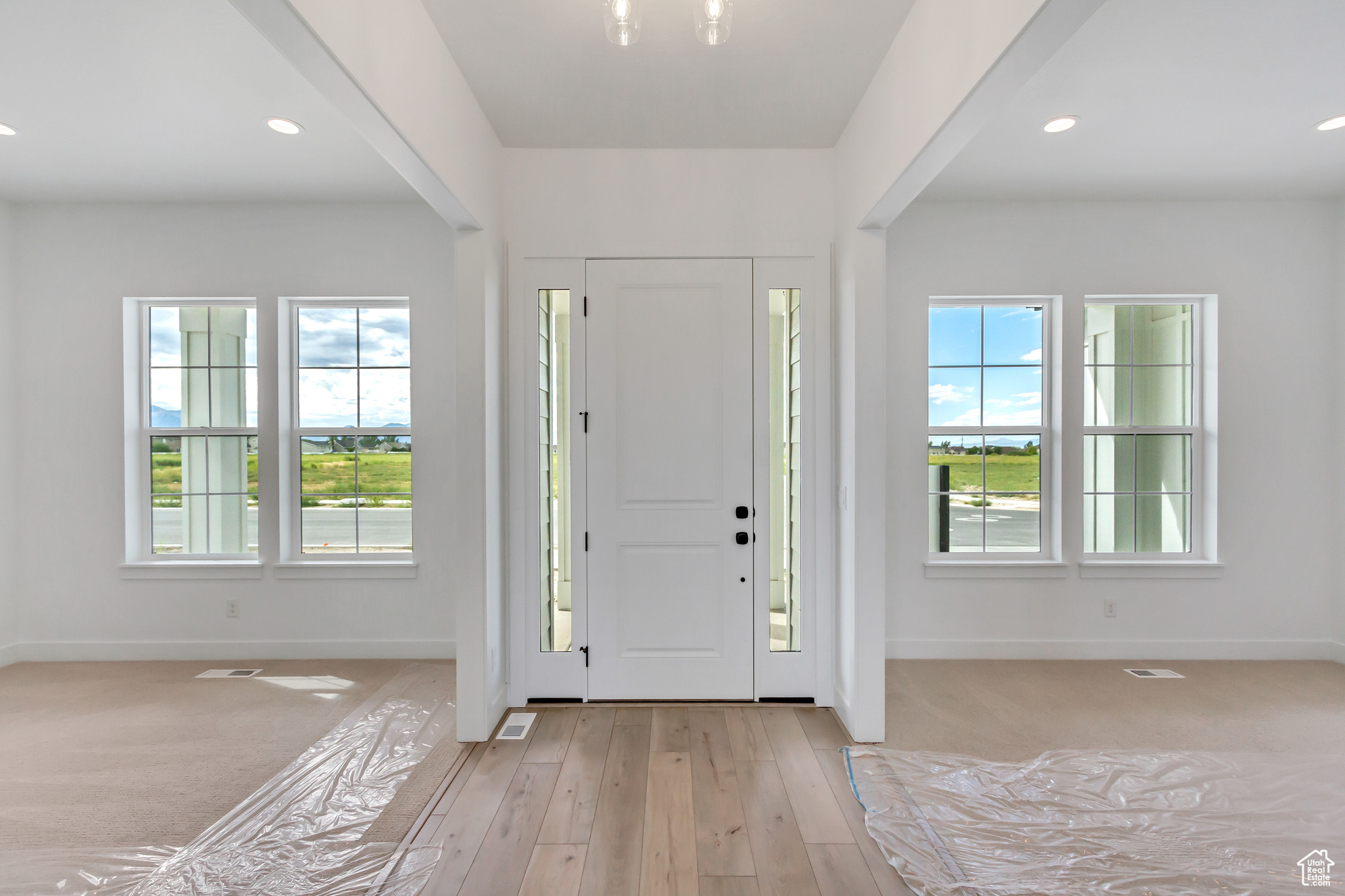 Carpeted foyer featuring a healthy amount of sunlight