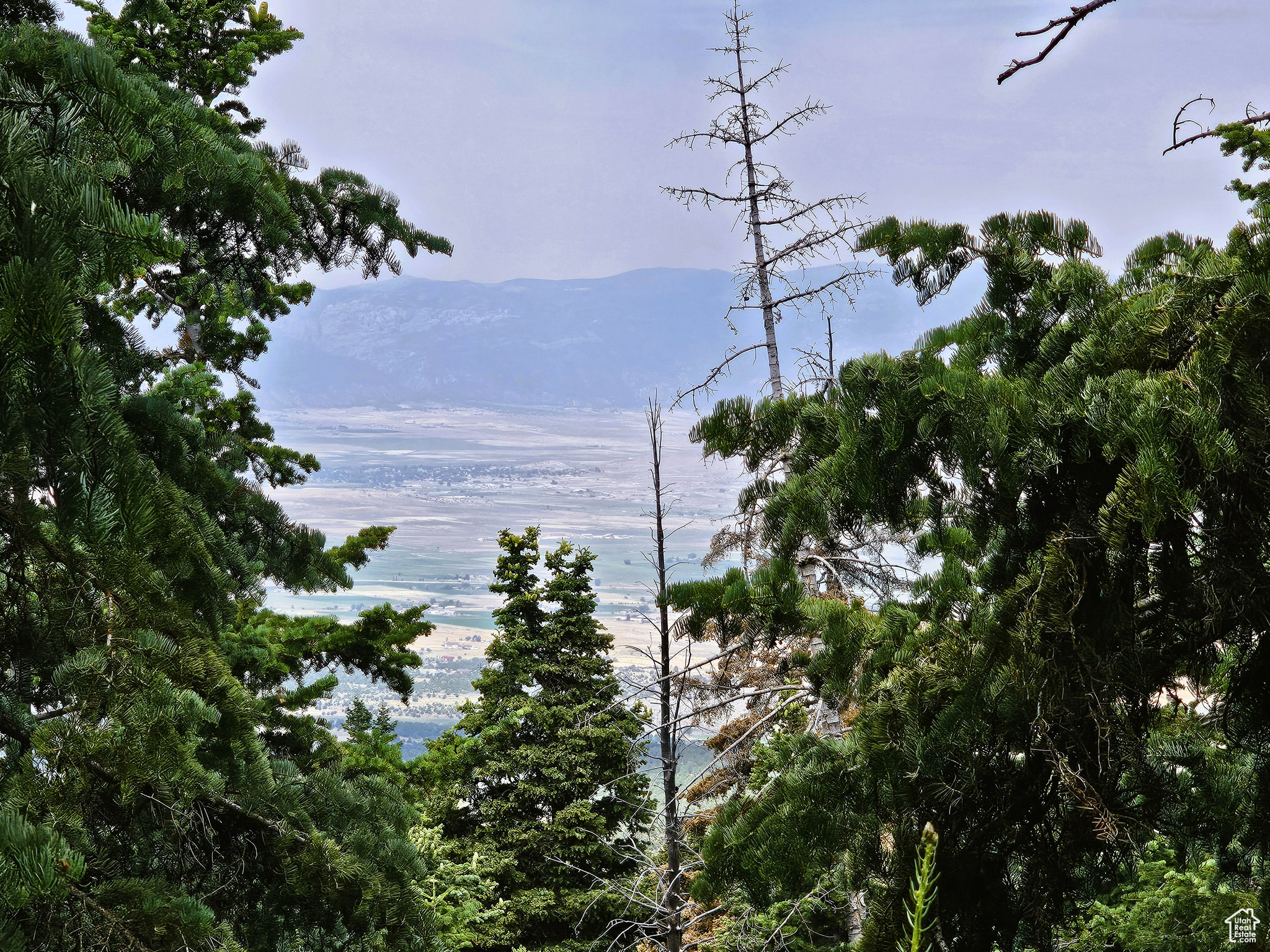 44 Pine Cir Mt Pleasant UT 84647 55,000