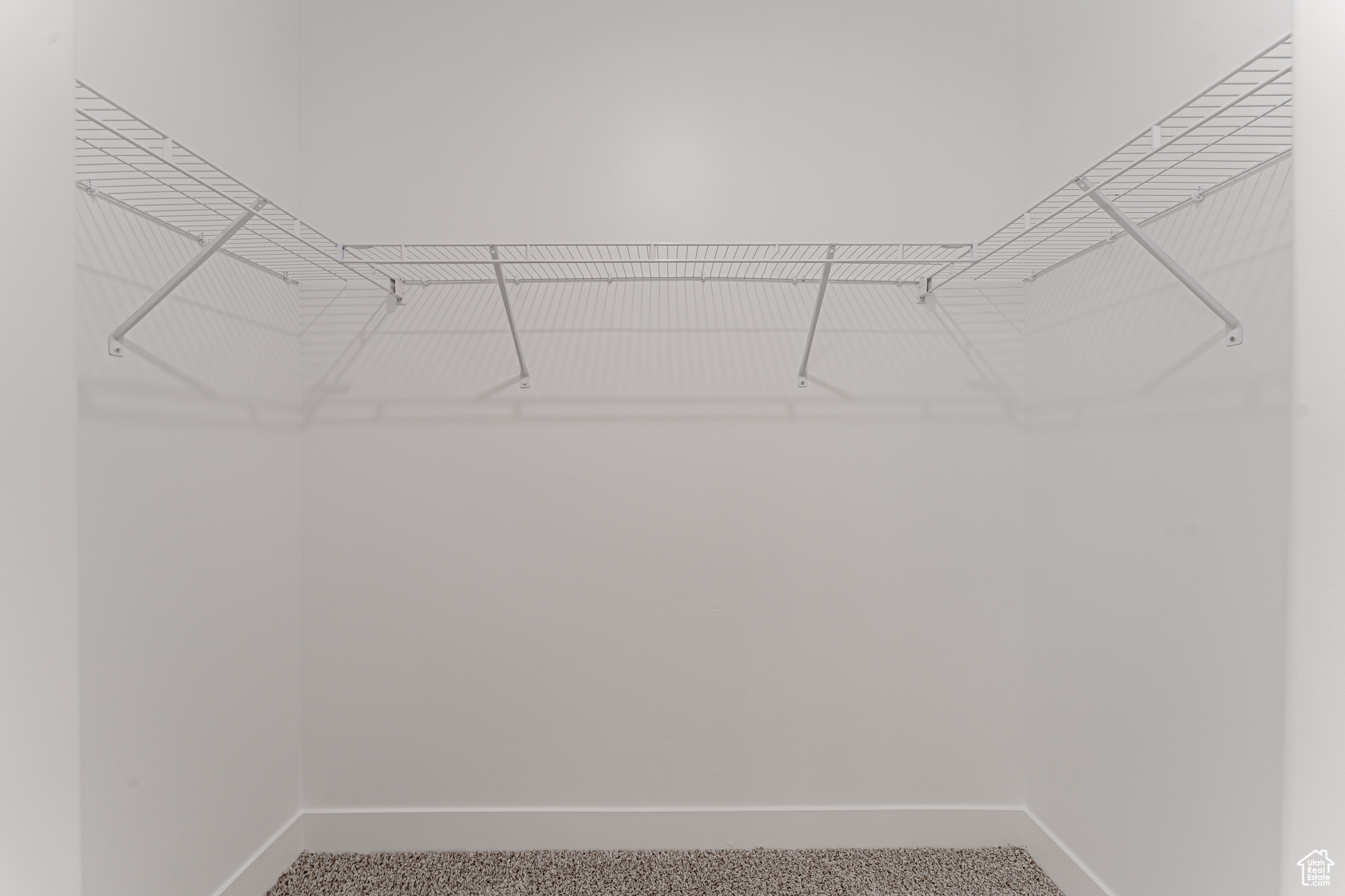 Walk in closet featuring carpet flooring