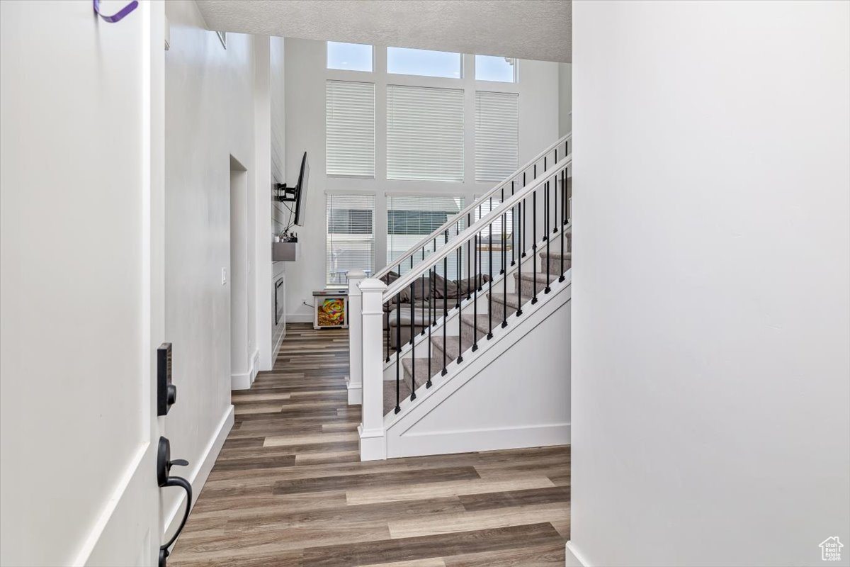 Stairway with hardwood / wood-style flooring, a high ceiling, and plenty of natural light