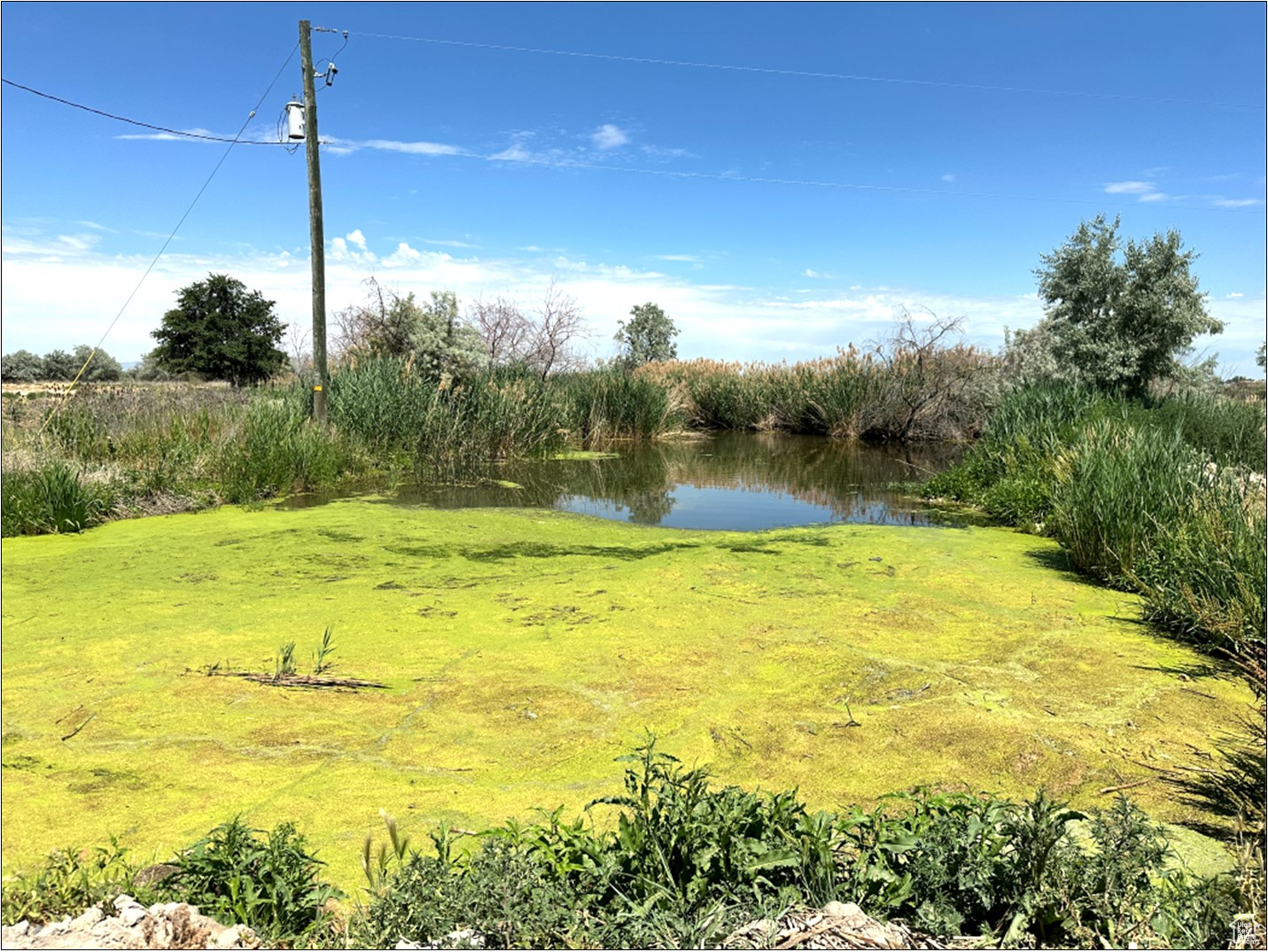 View of yard featuring a water view