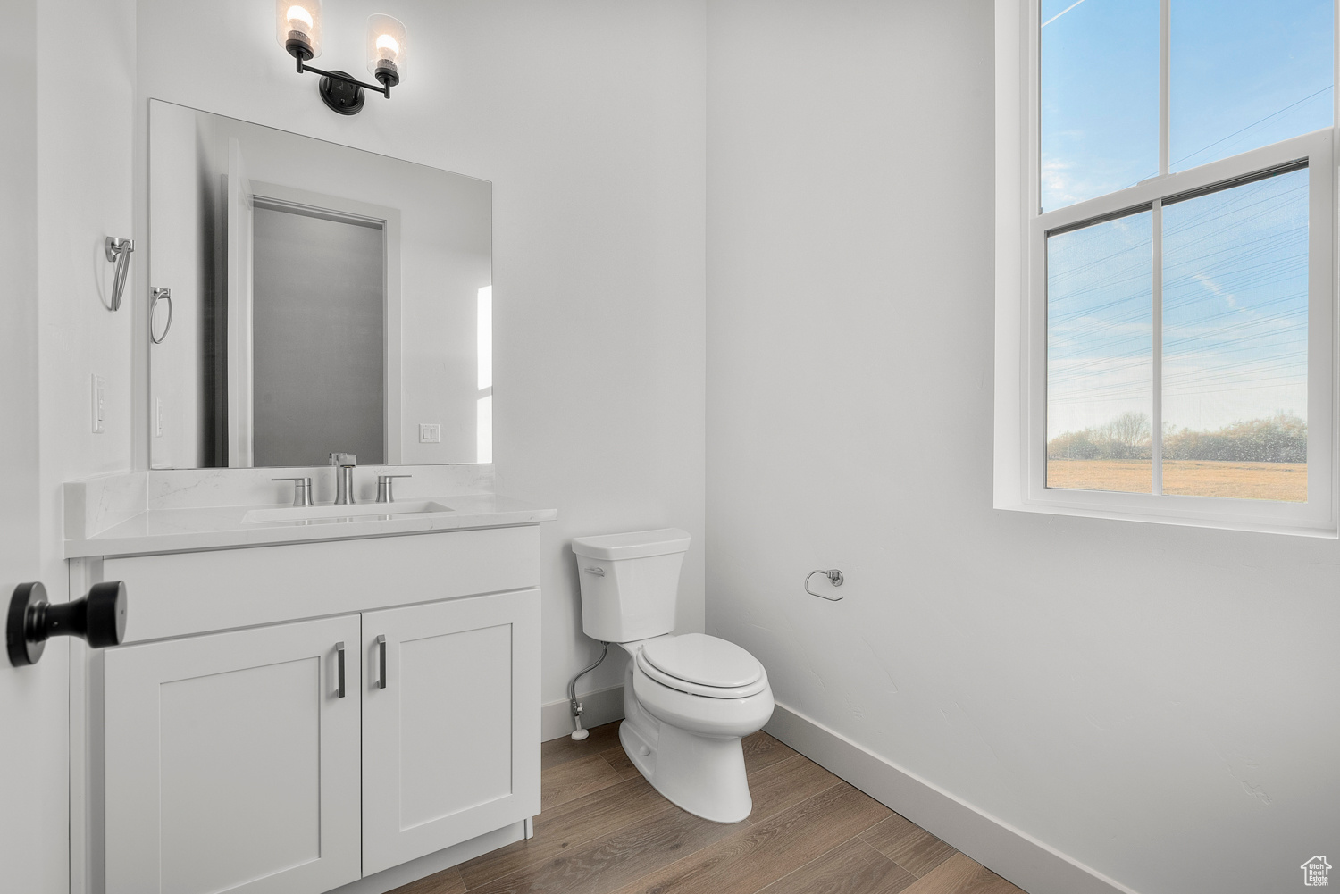 Bathroom featuring vanity, hardwood / wood-style flooring, and toilet