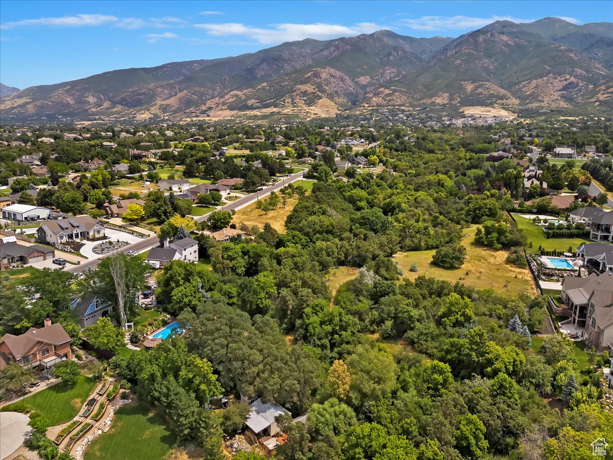 Aerial view with a mountain view