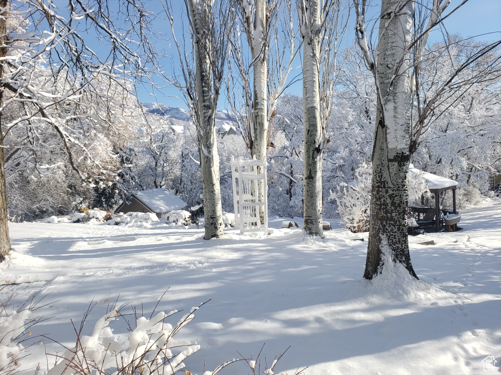 Snowy yard featuring a gazebo