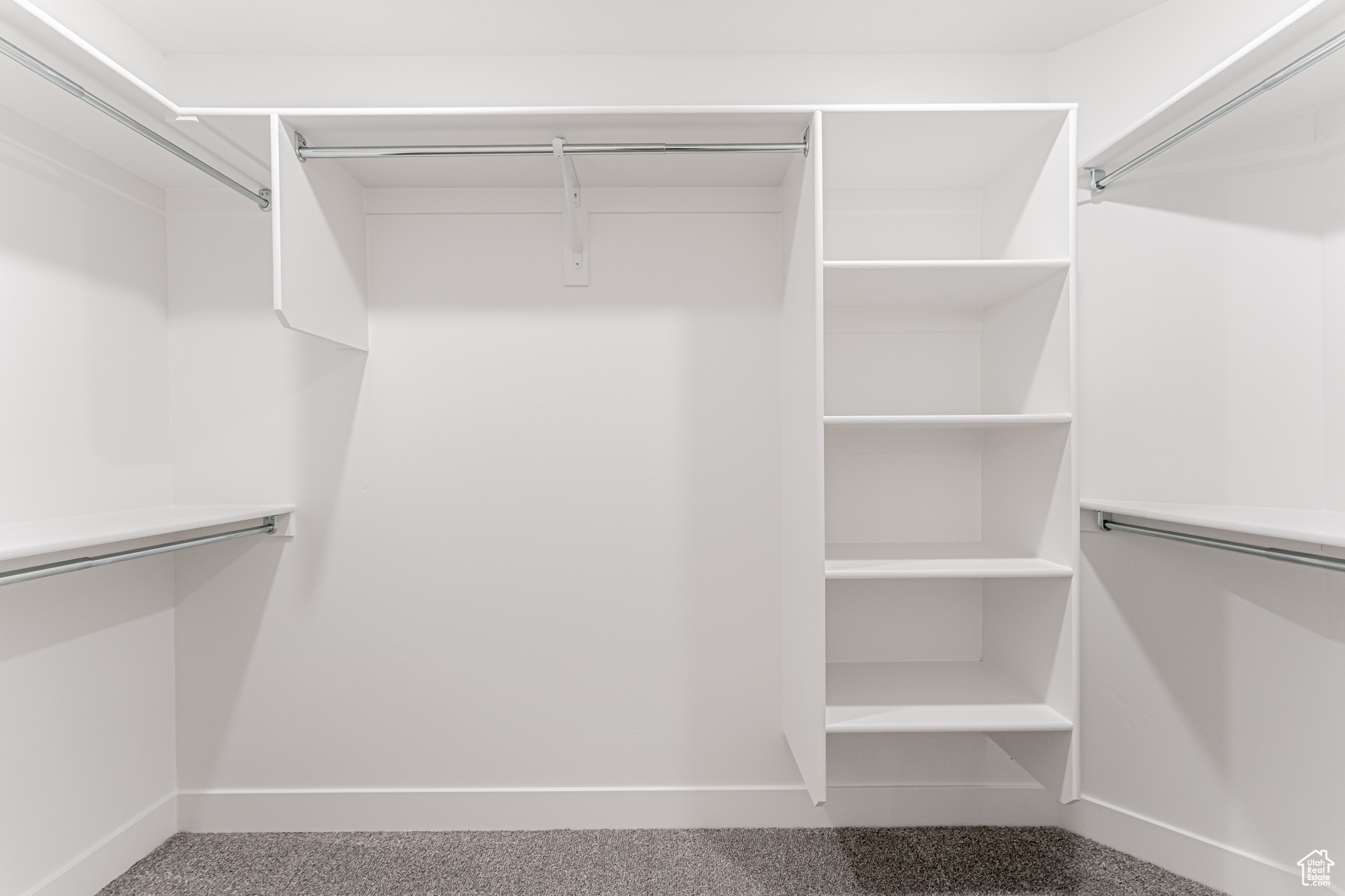 Spacious closet featuring carpet floors