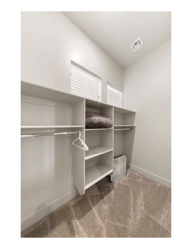 Spacious closet with carpet