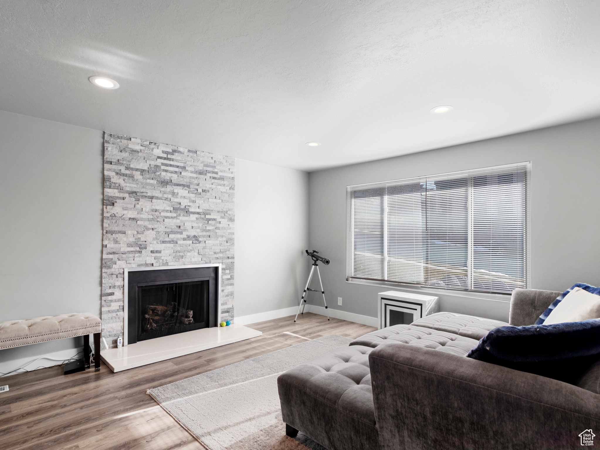 Living room with hardwood / wood-style flooring and a fireplace