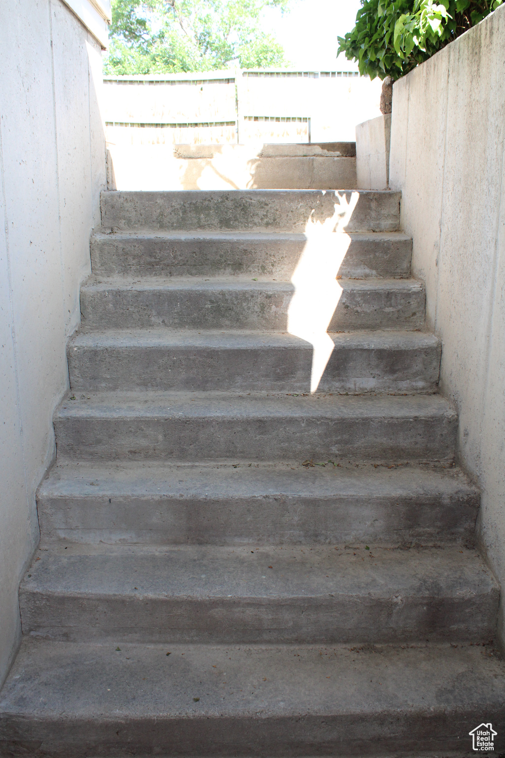 View of stairway to basement, separate entrance.