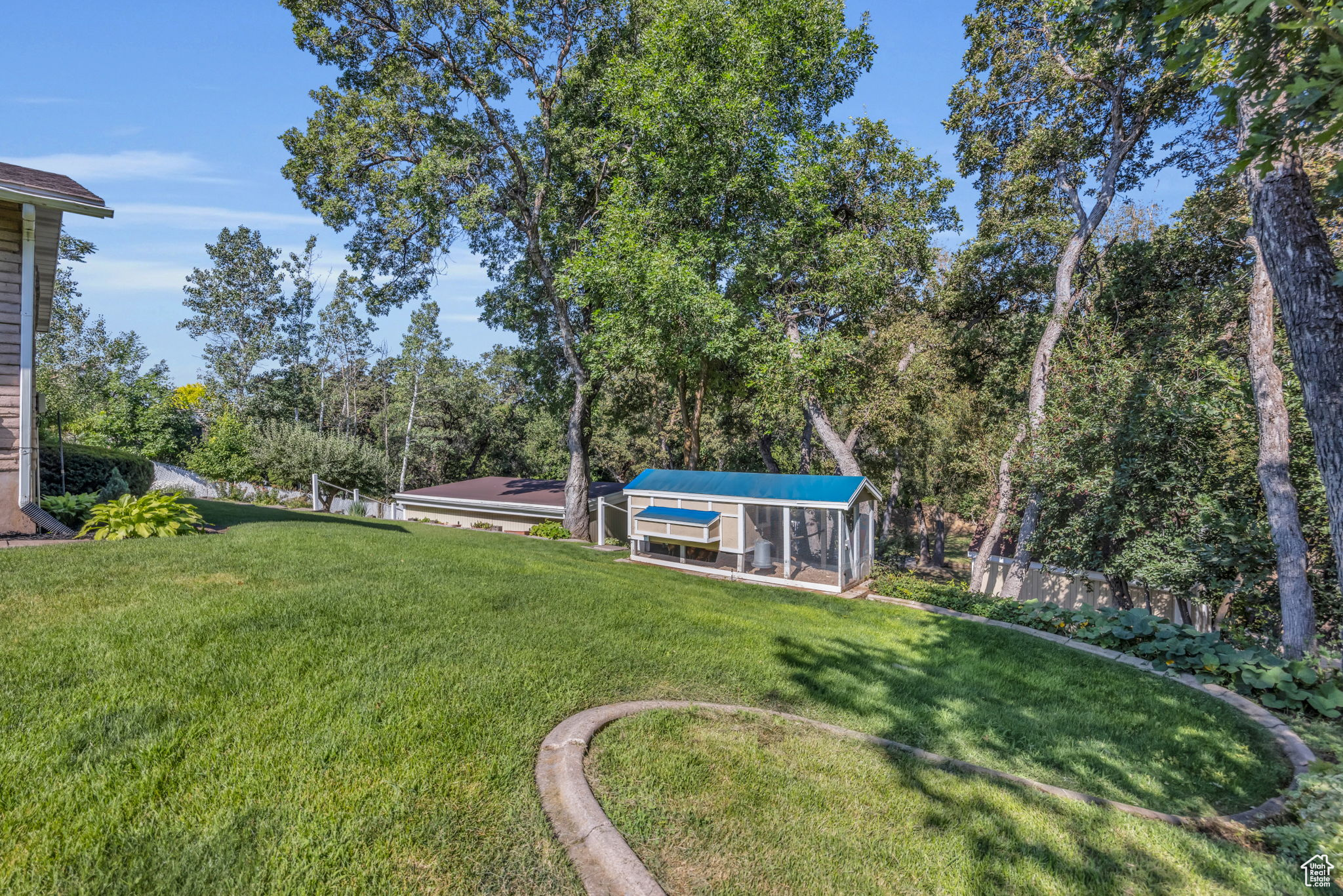 View of yard by patio. Chicken coop.