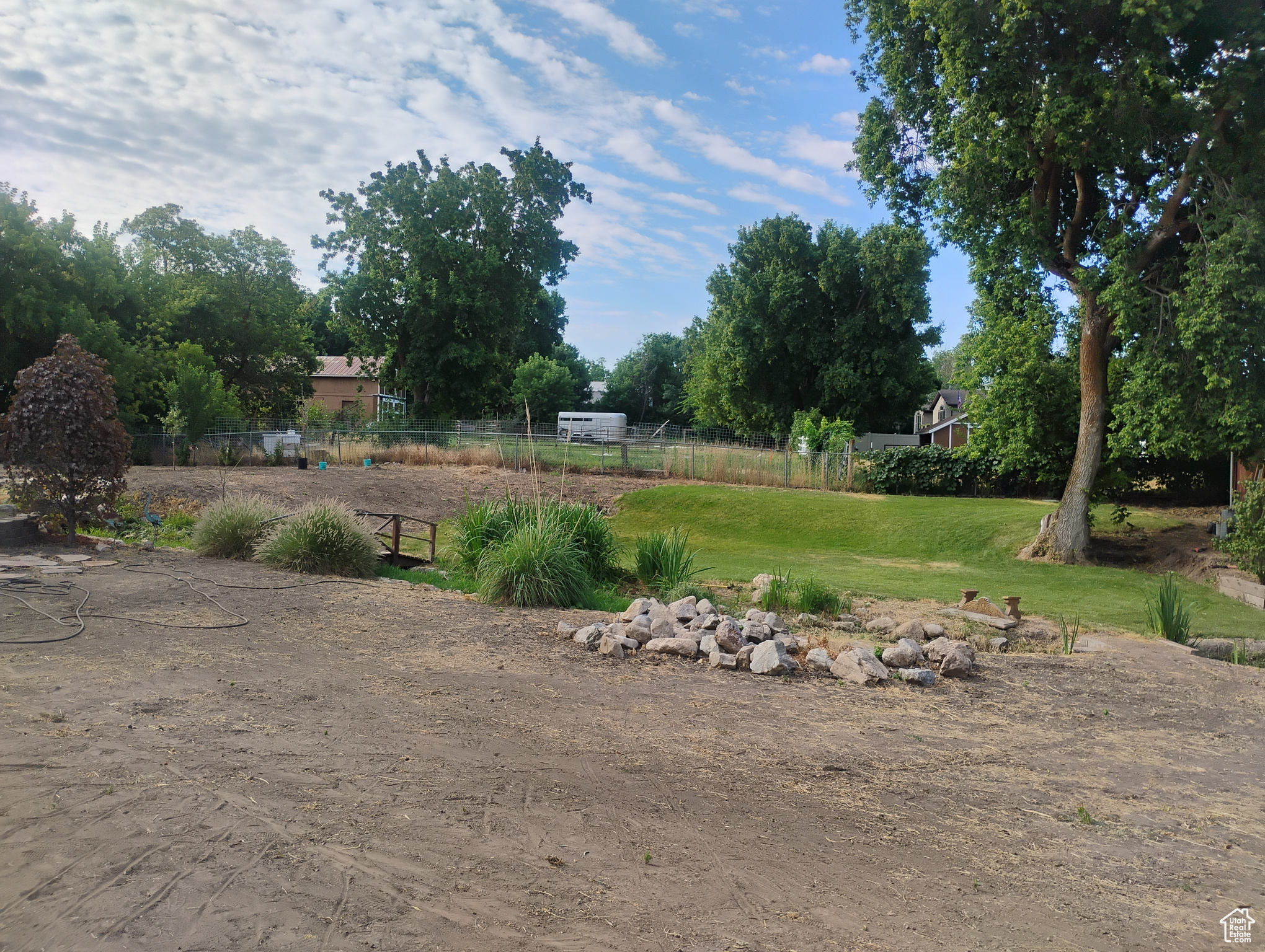 View of yard facing south