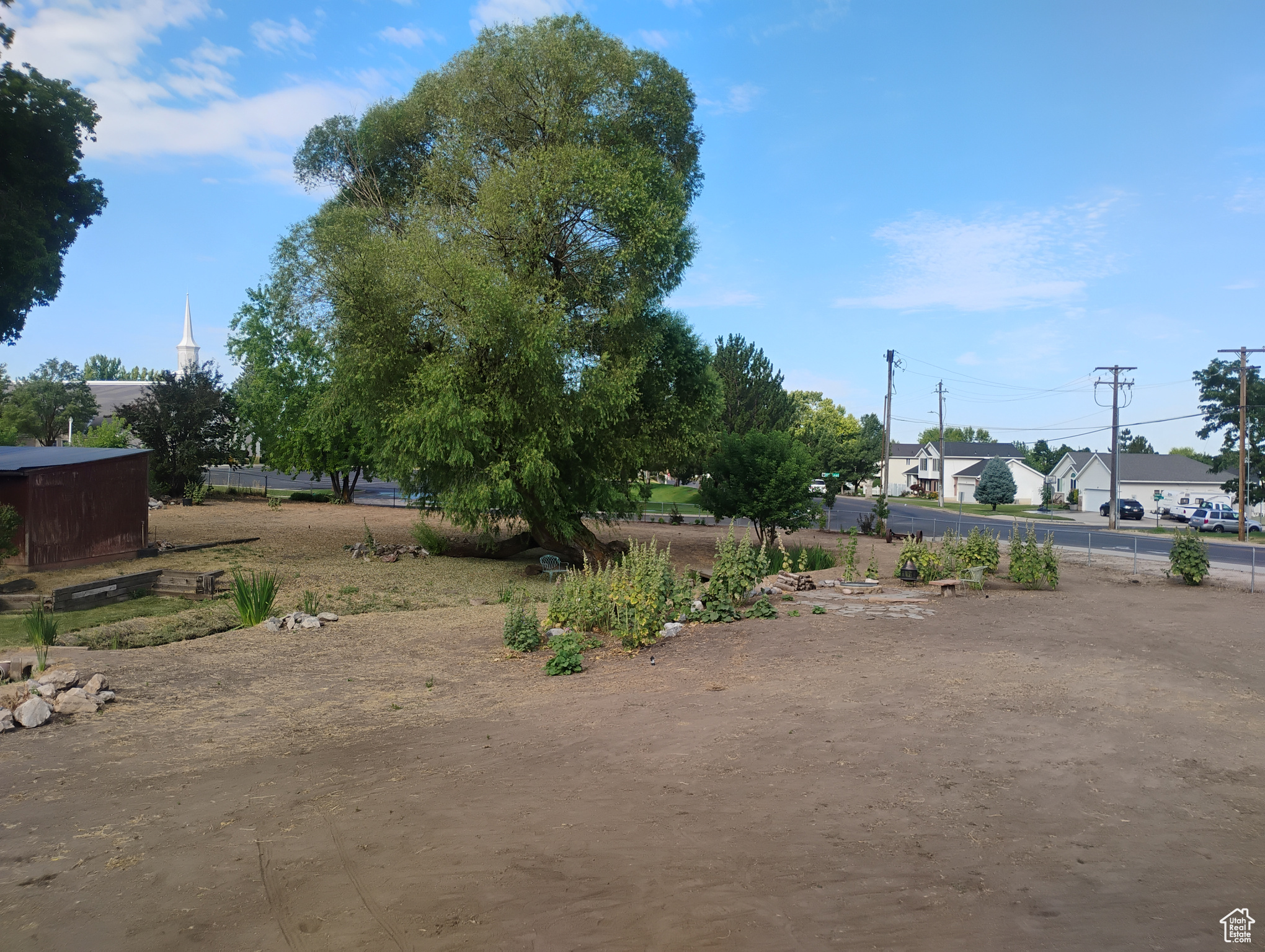 View of yard facing west