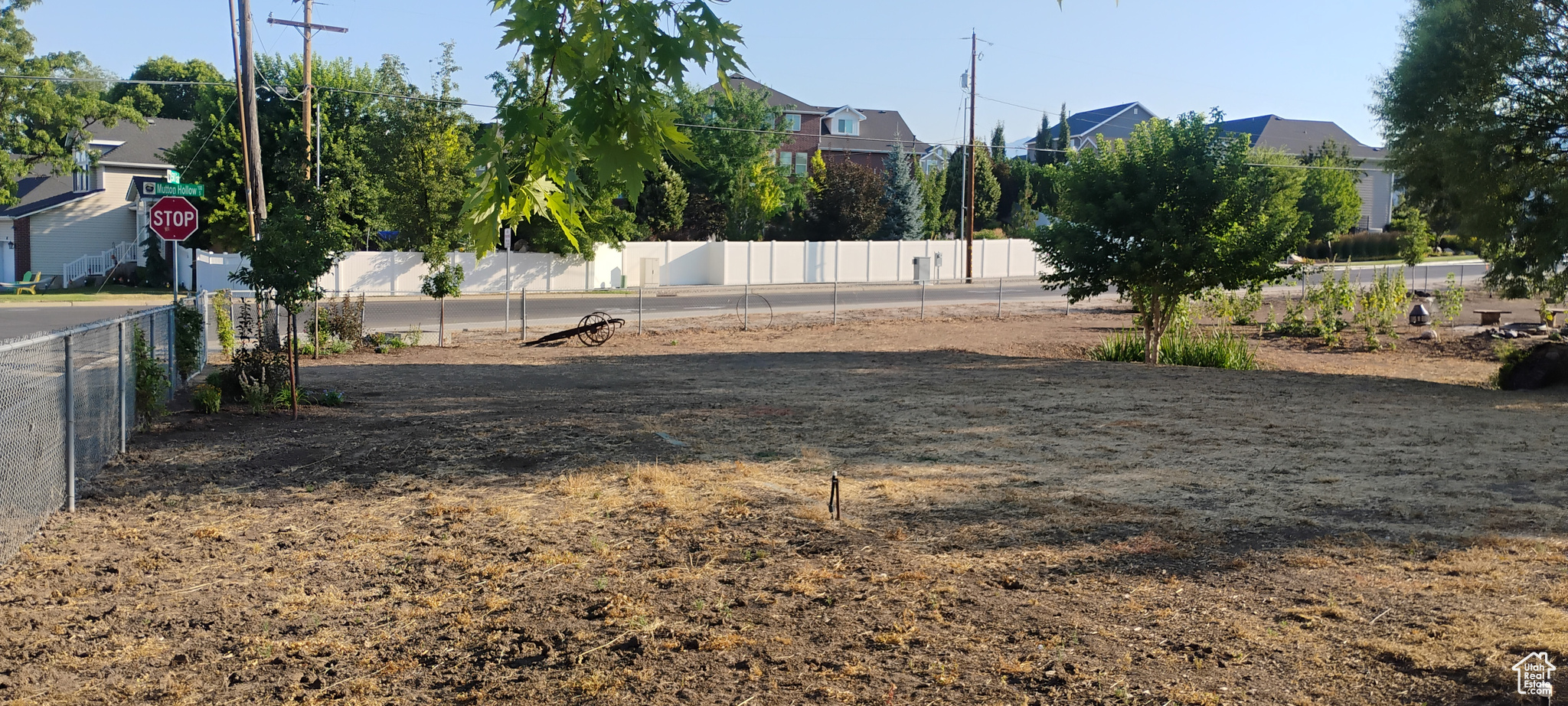 View of yard facing north