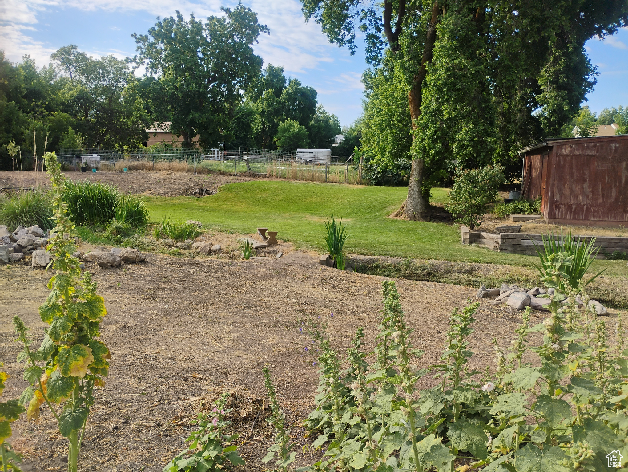 View of yard facing south