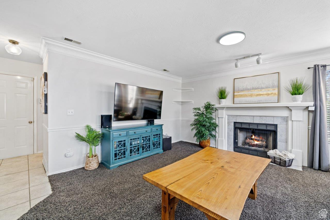 Living room featuring ornamental molding, a fireplace, tile patterned flooring, and track lighting