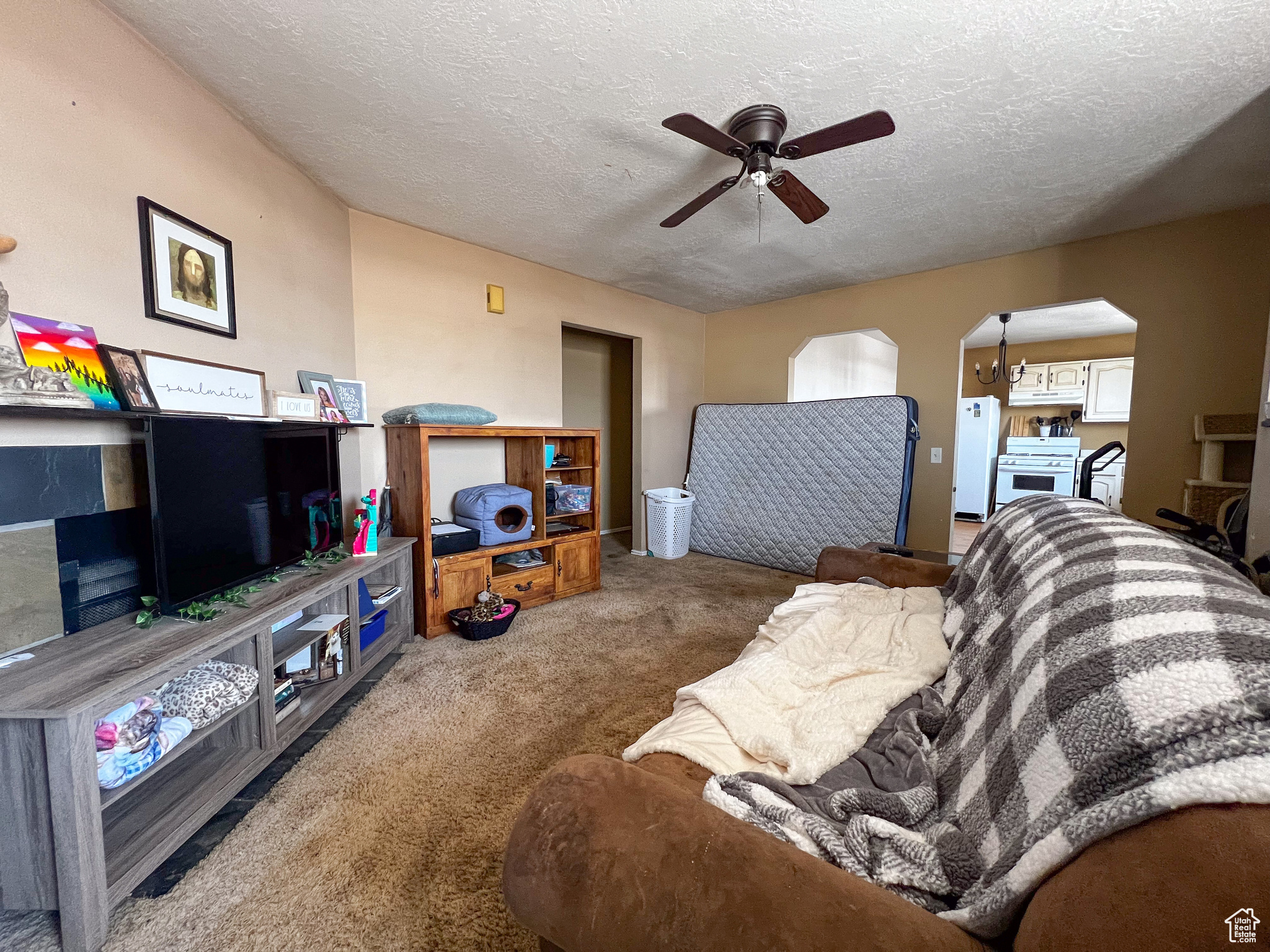 Living room featuring ceiling fan, carpet flooring, and a textured ceiling