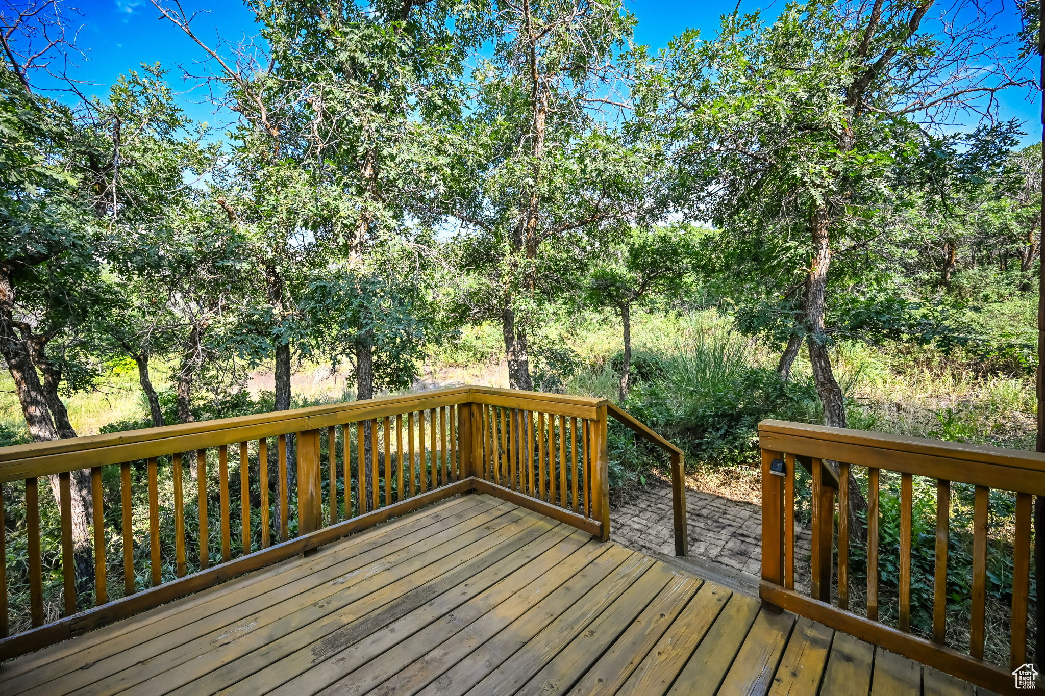 View of wooden deck