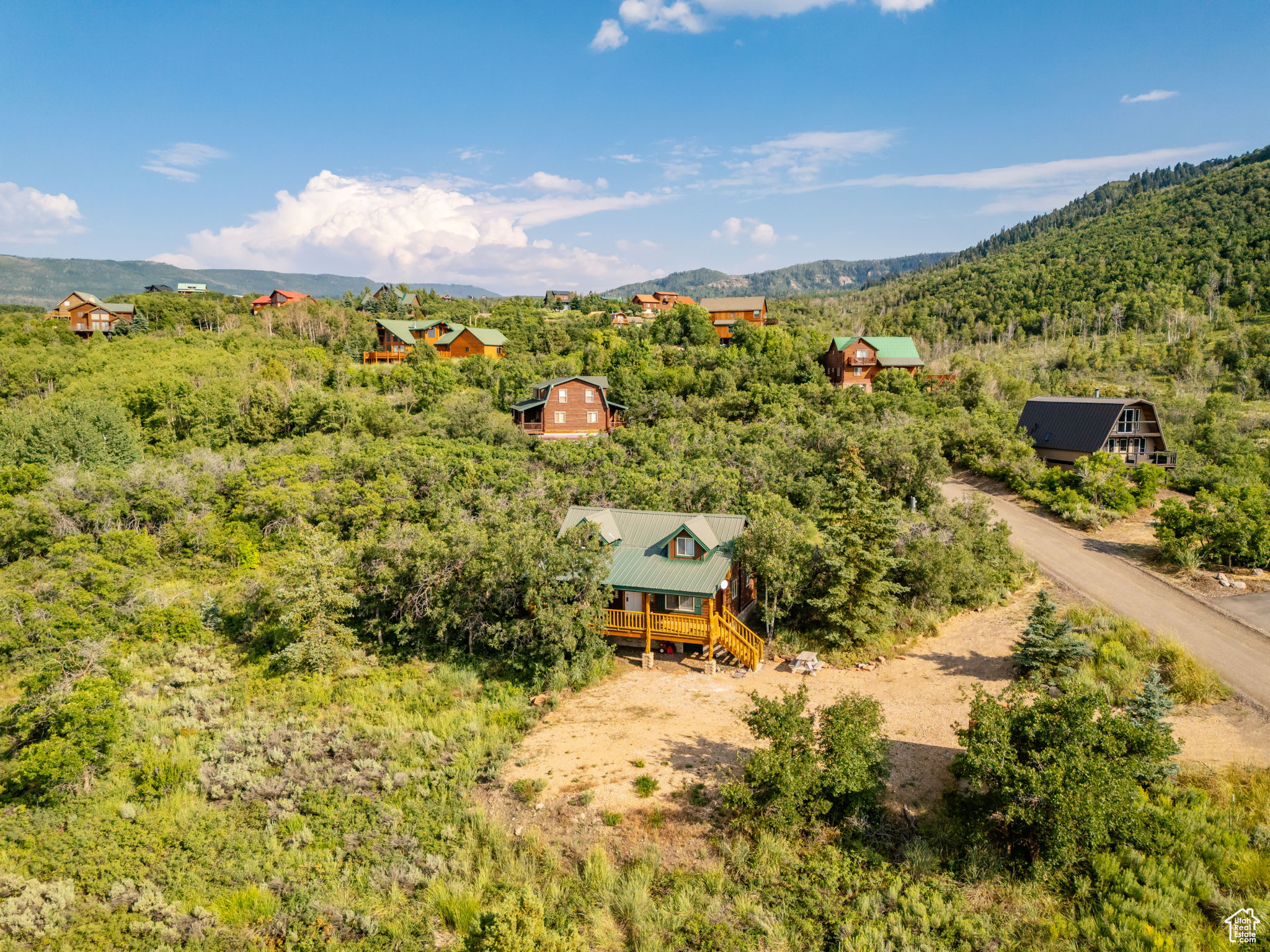 Drone / aerial view featuring a mountain view