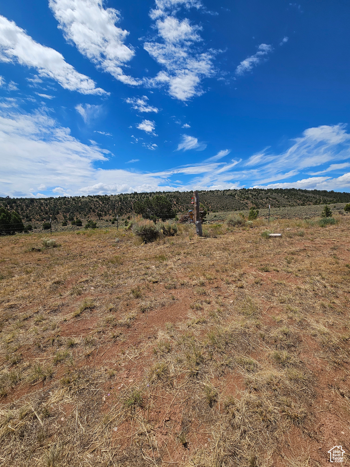 Beautiful Property Views! No neighbors to the back - huge ranch!