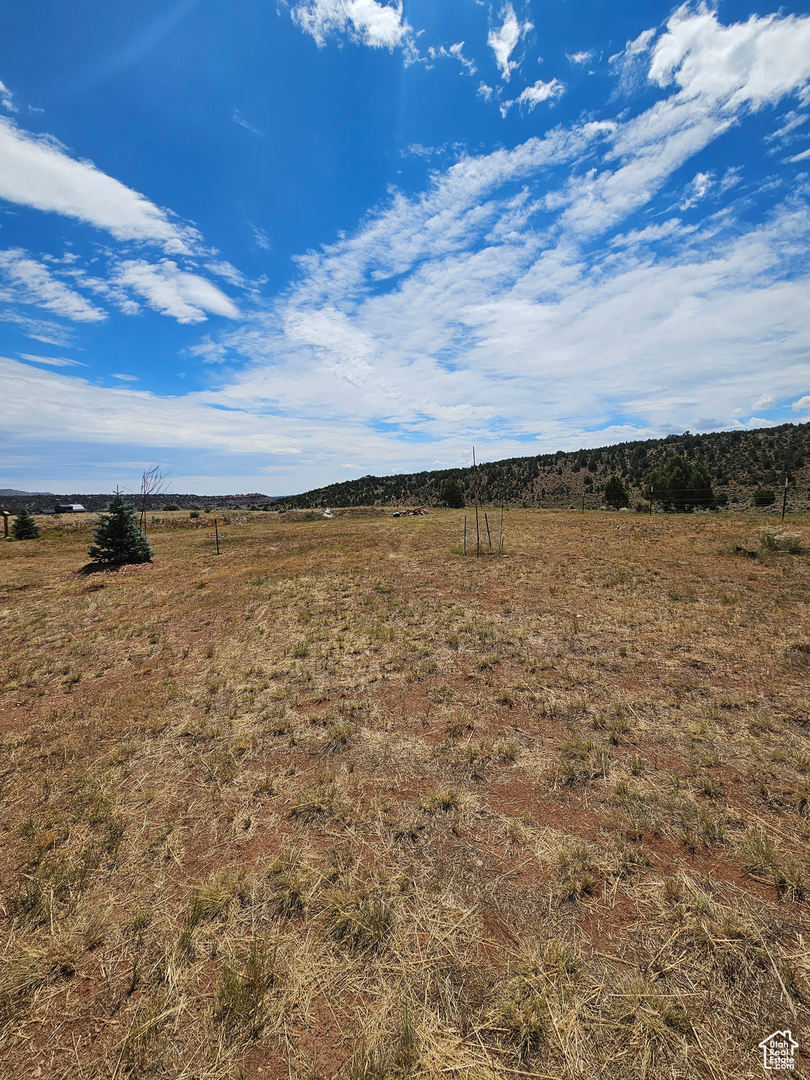 Beautiful Property Views! No neighbors to the back - huge ranch!