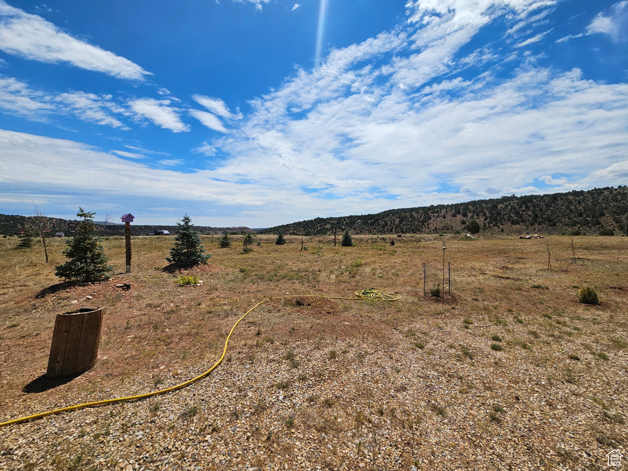 Beautiful Property Views - several planted trees!