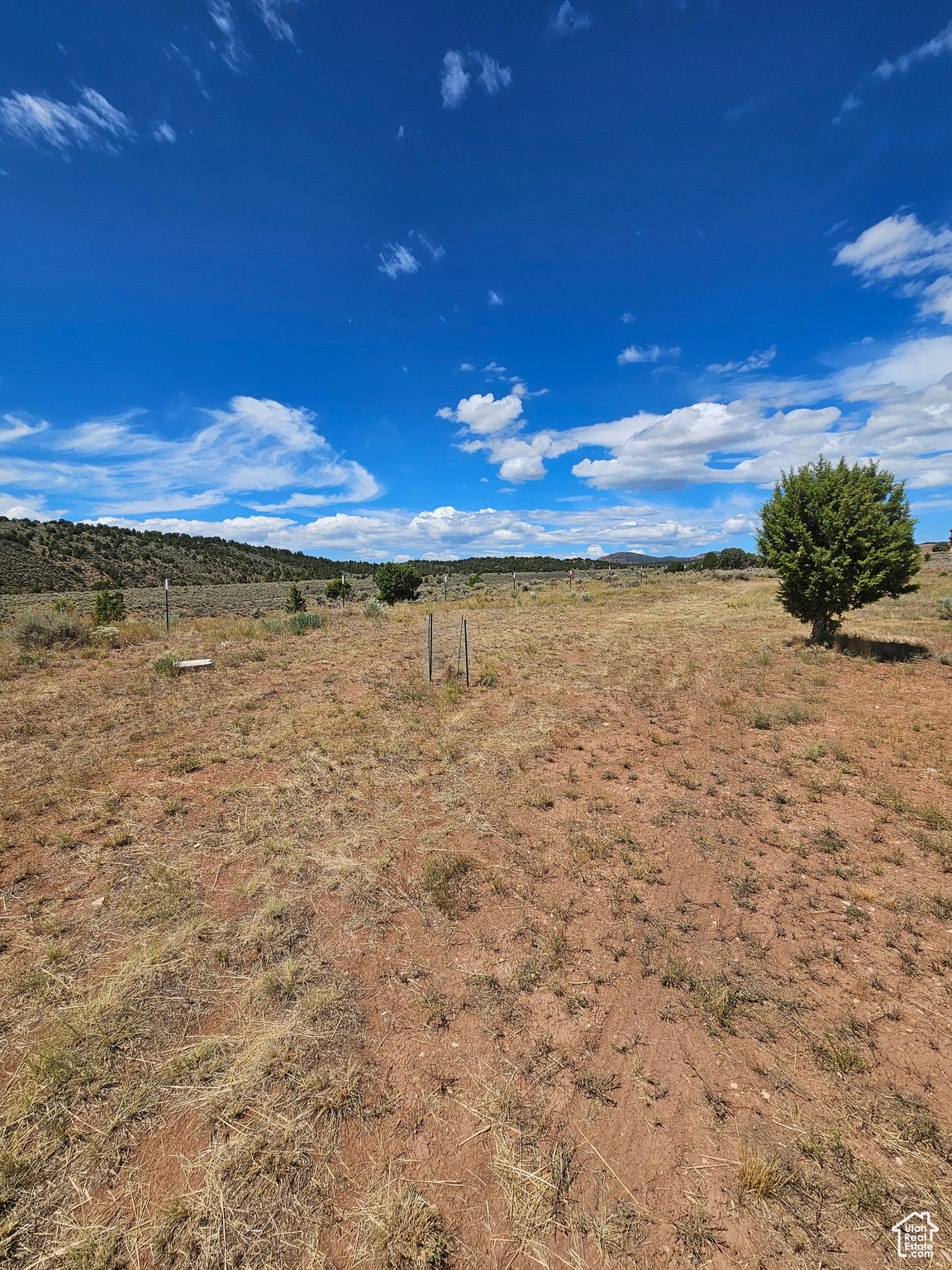 Beautiful Property Views! No neighbors to the back - huge ranch!