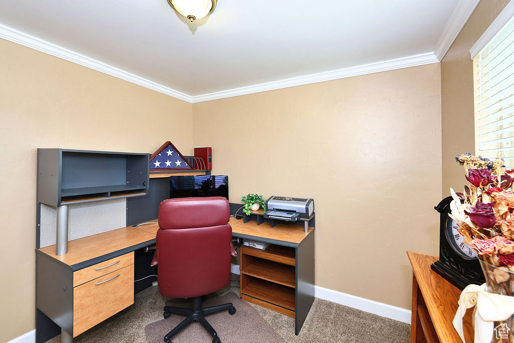 3rd bedroom or Office featuring  crown molding