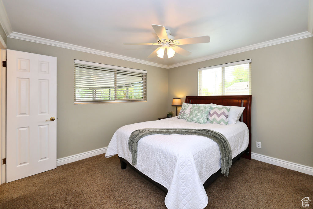 Master Bedroom with ornamental molding, carpet, and ceiling fan