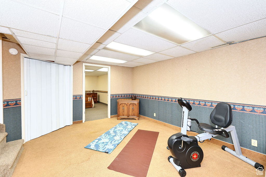 Exercise area with carpet floors