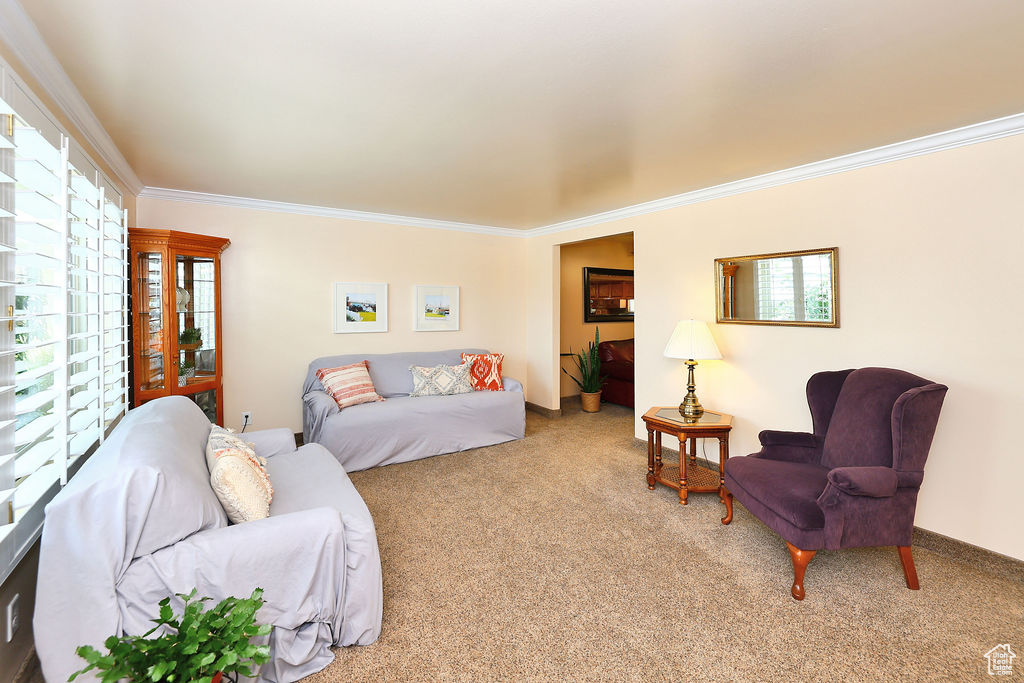 Living room featuring ornamental crown molding and light carpet