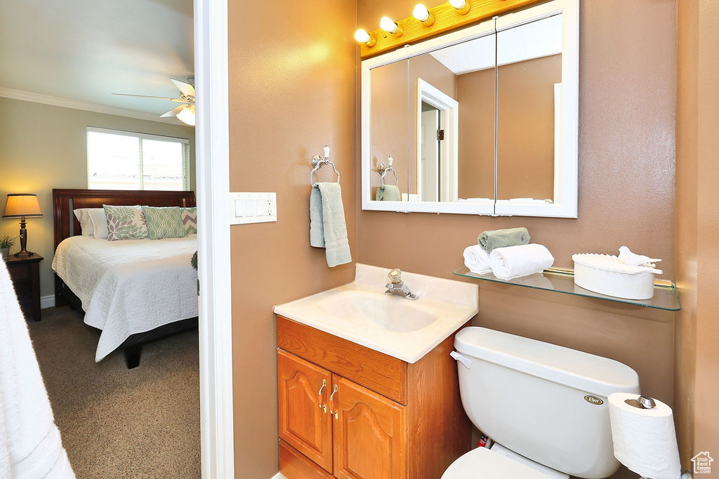 Master Bathroom featuring vanity, ornamental molding,