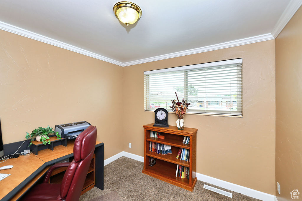 3rd bedroom or office space with crown molding