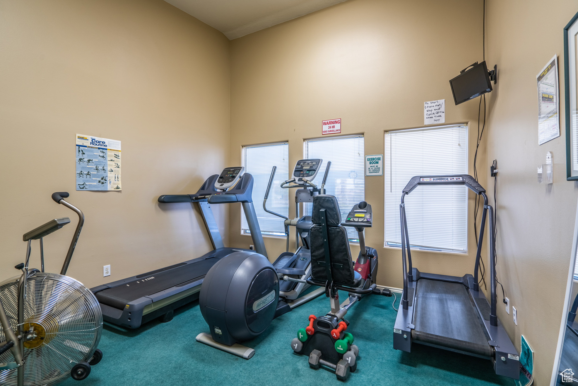 Exercise room featuring carpet flooring and a high ceiling