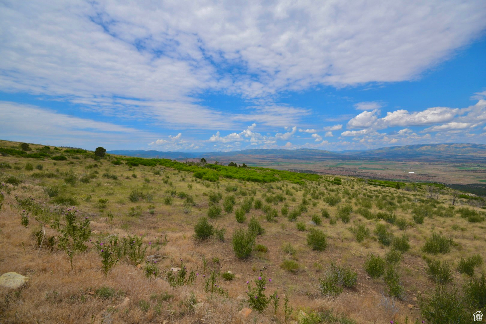 #273, Fruitland, Utah 84027, ,Land,For sale,2013926