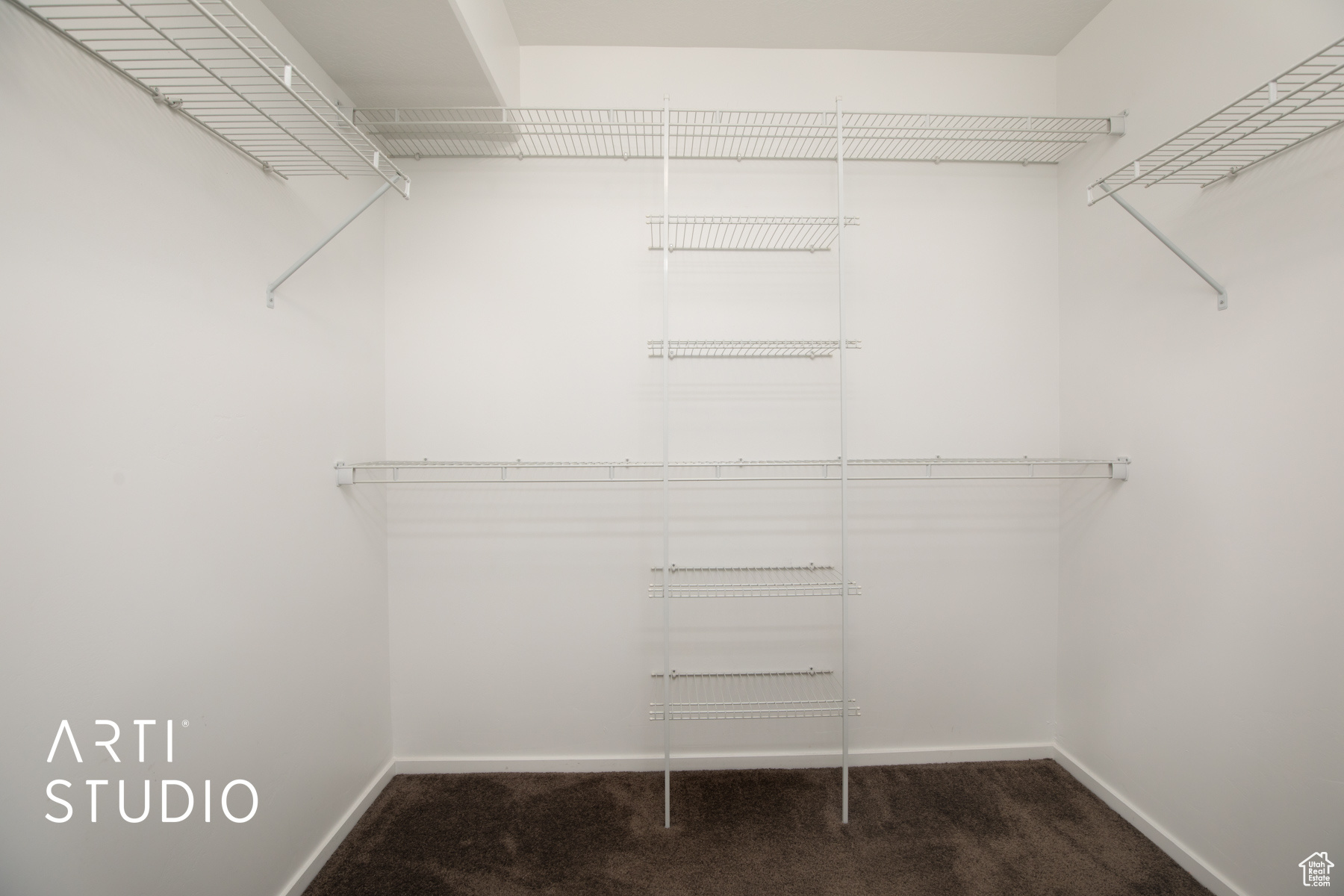 Spacious closet featuring carpet floors