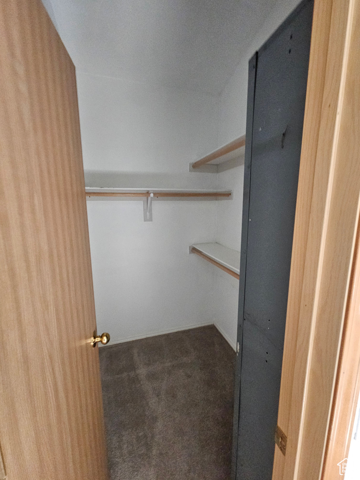 Spacious closet with carpet