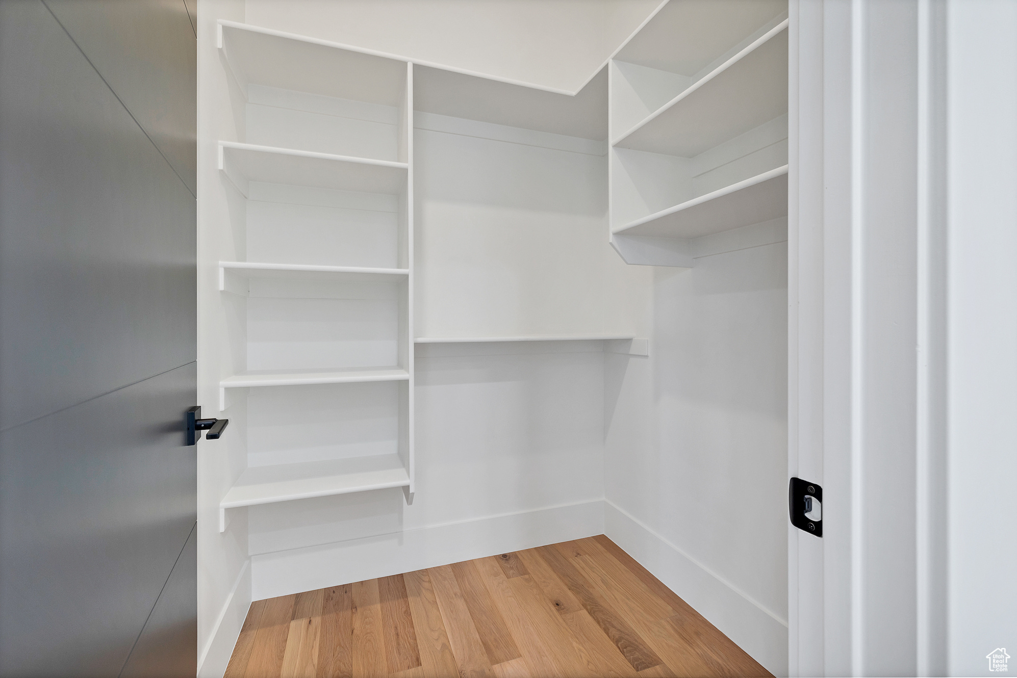 Walk in closet with light hardwood / wood-style floors