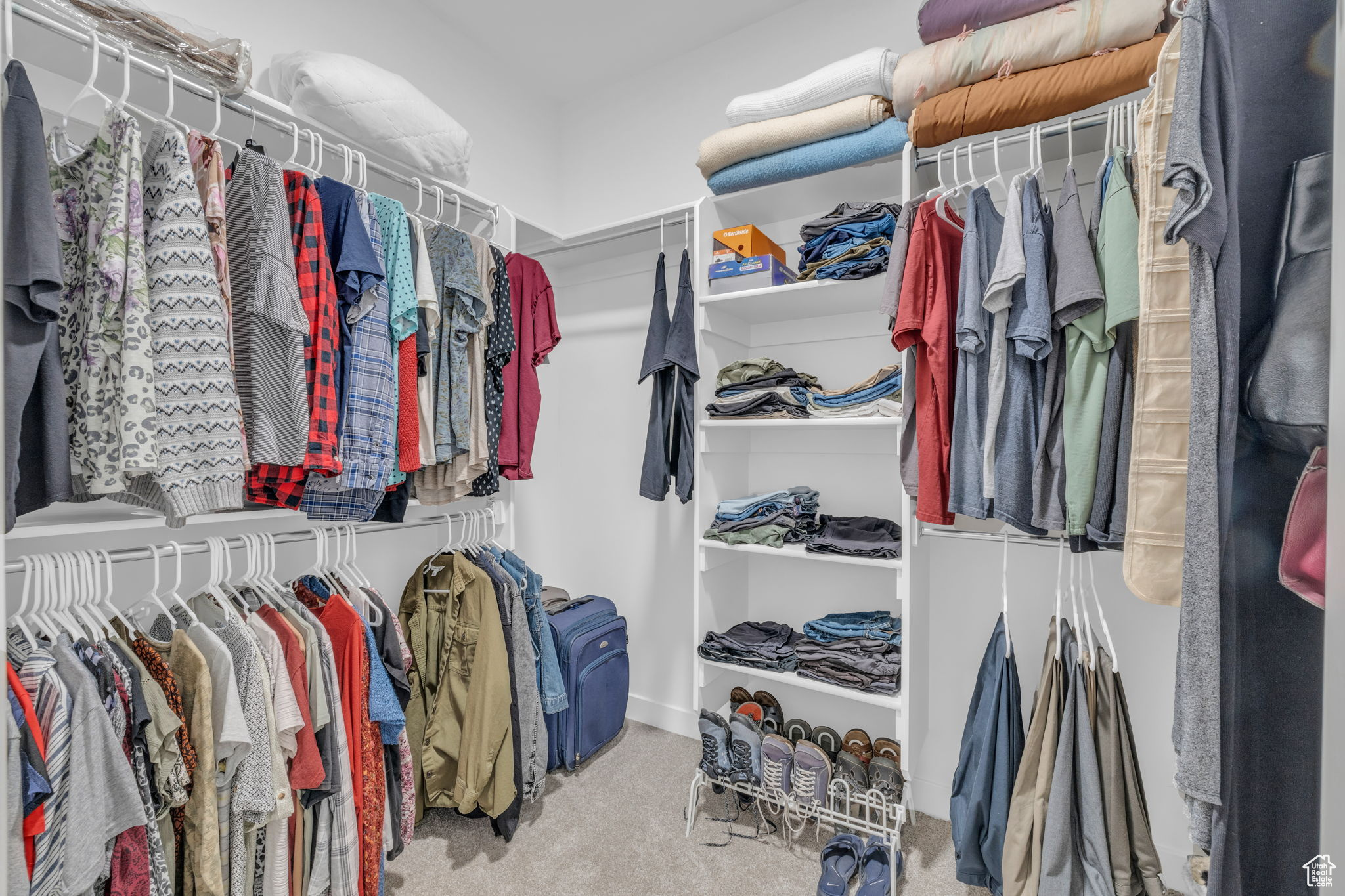 Spacious closet featuring carpet flooring