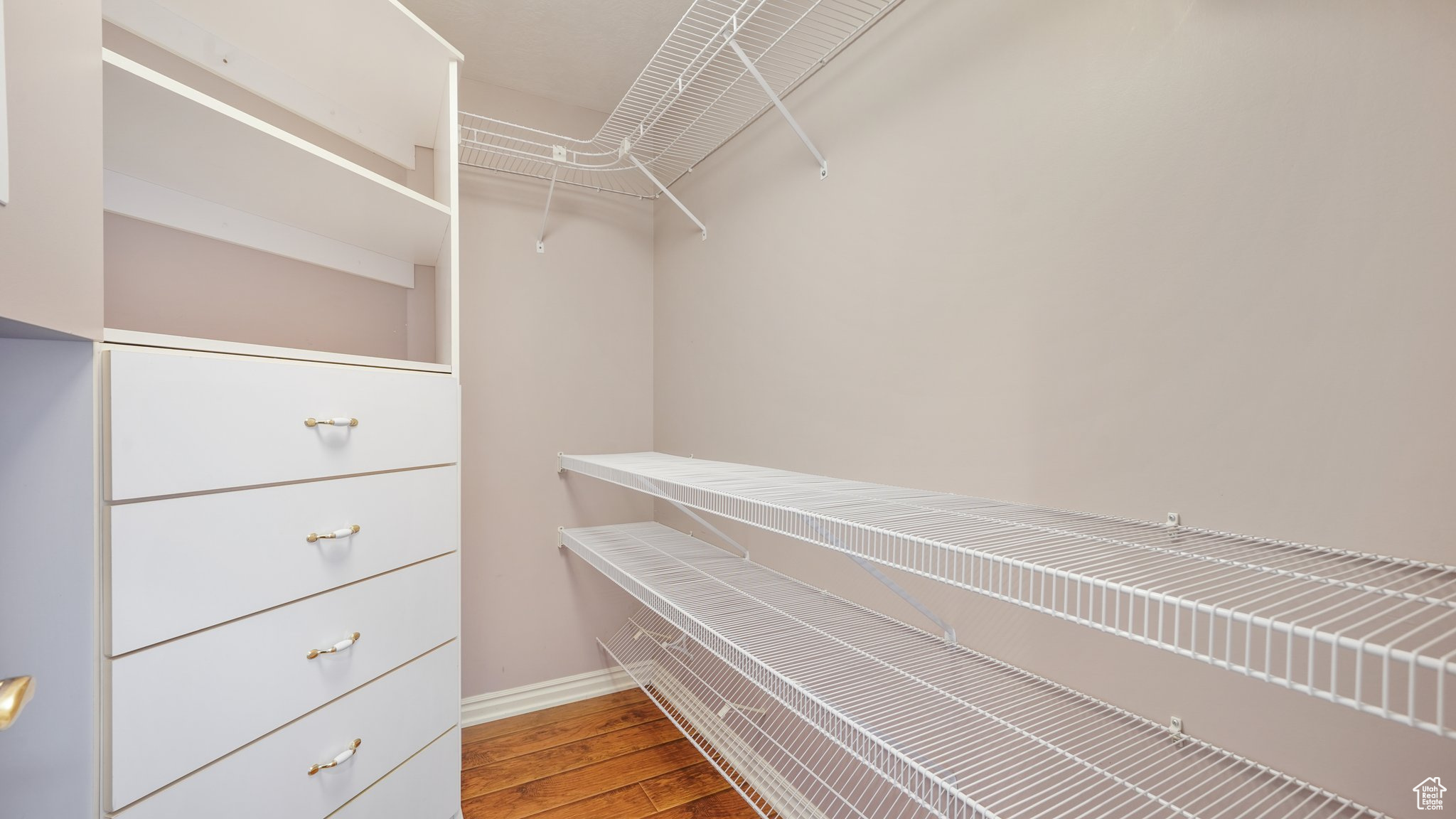 Spacious closet featuring wood-type flooring