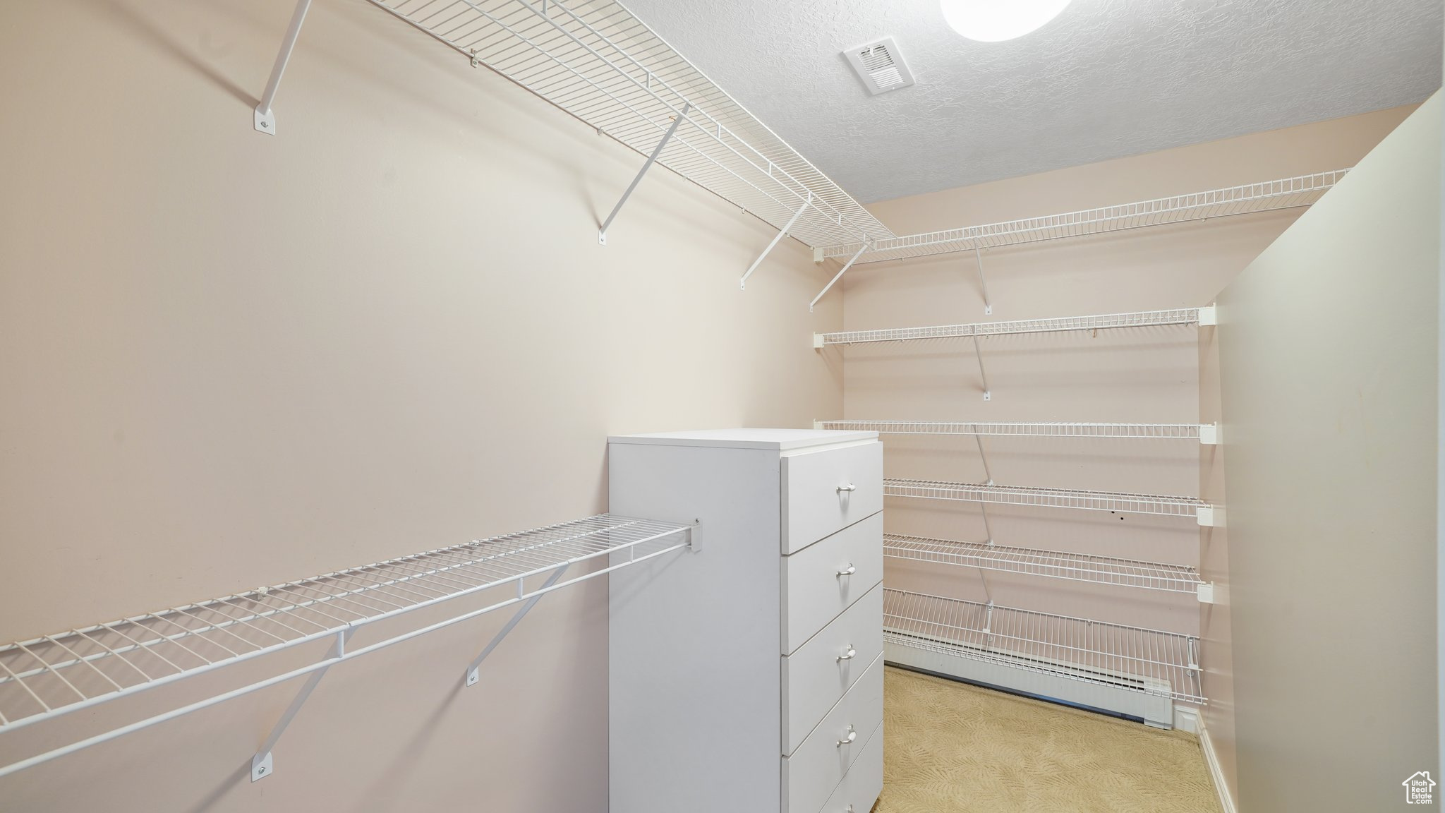 Walk in closet featuring a baseboard heating unit and light colored carpet