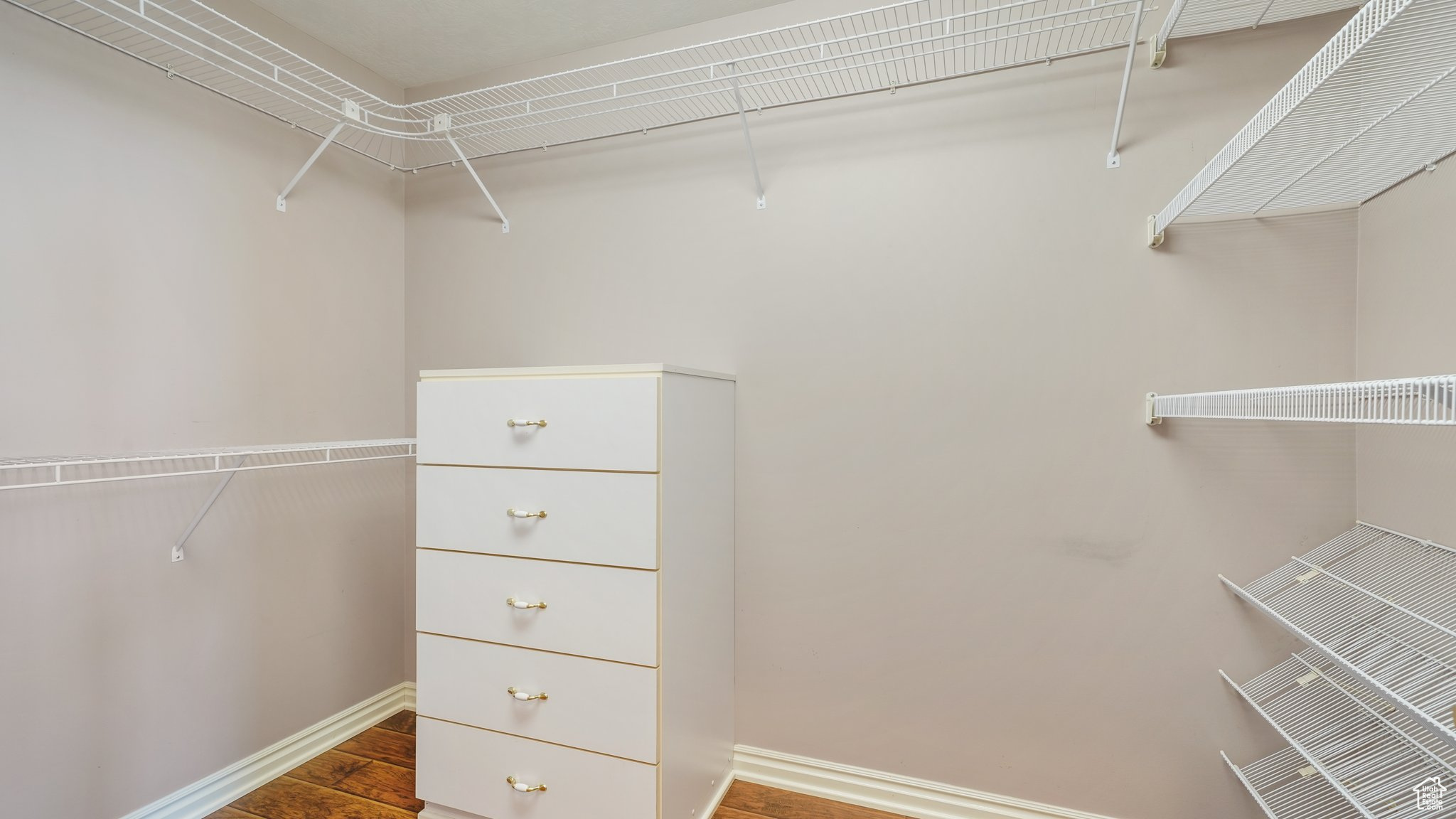 Spacious closet featuring hardwood / wood-style flooring