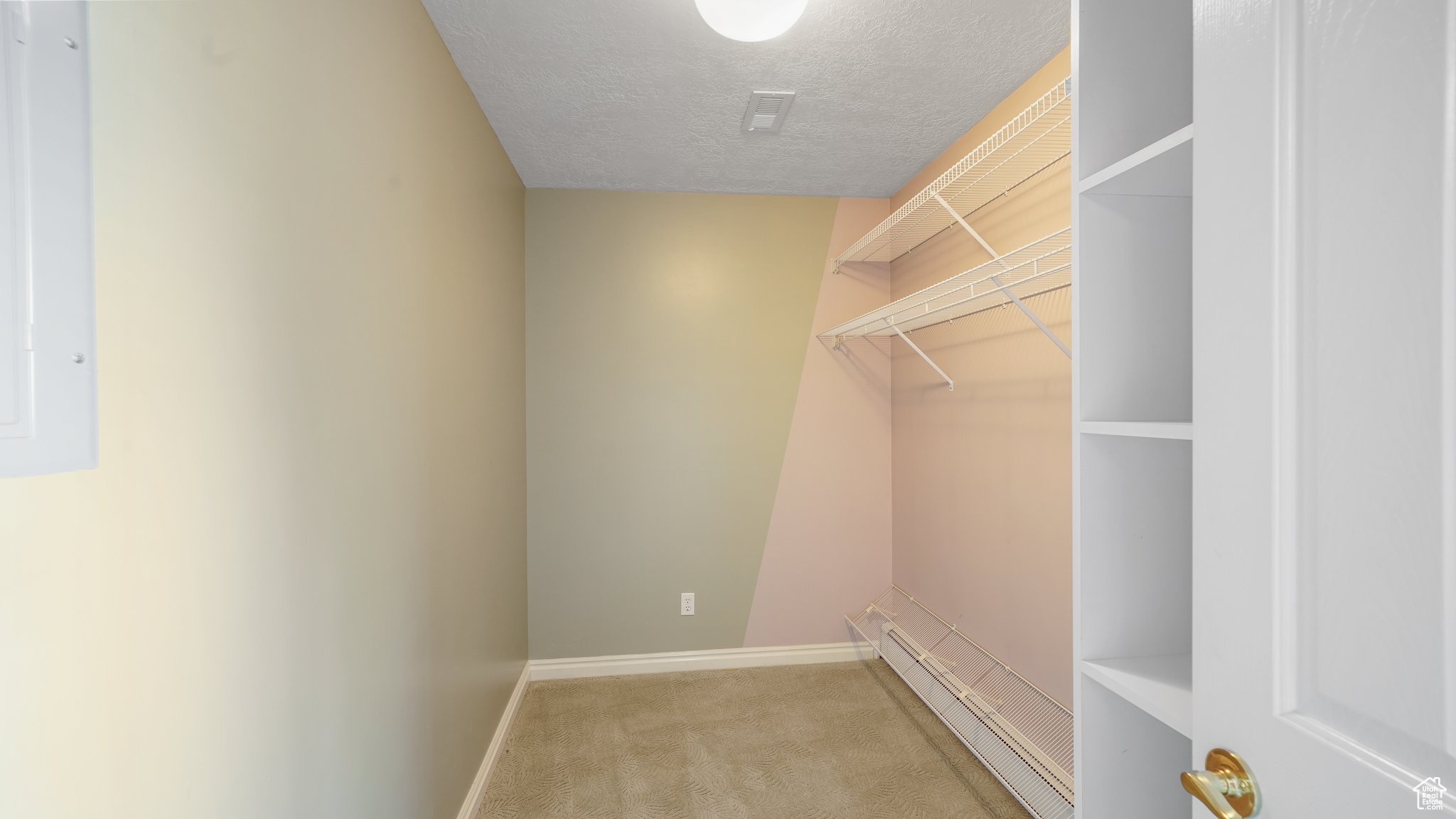 Spacious closet featuring light carpet and baseboard heating