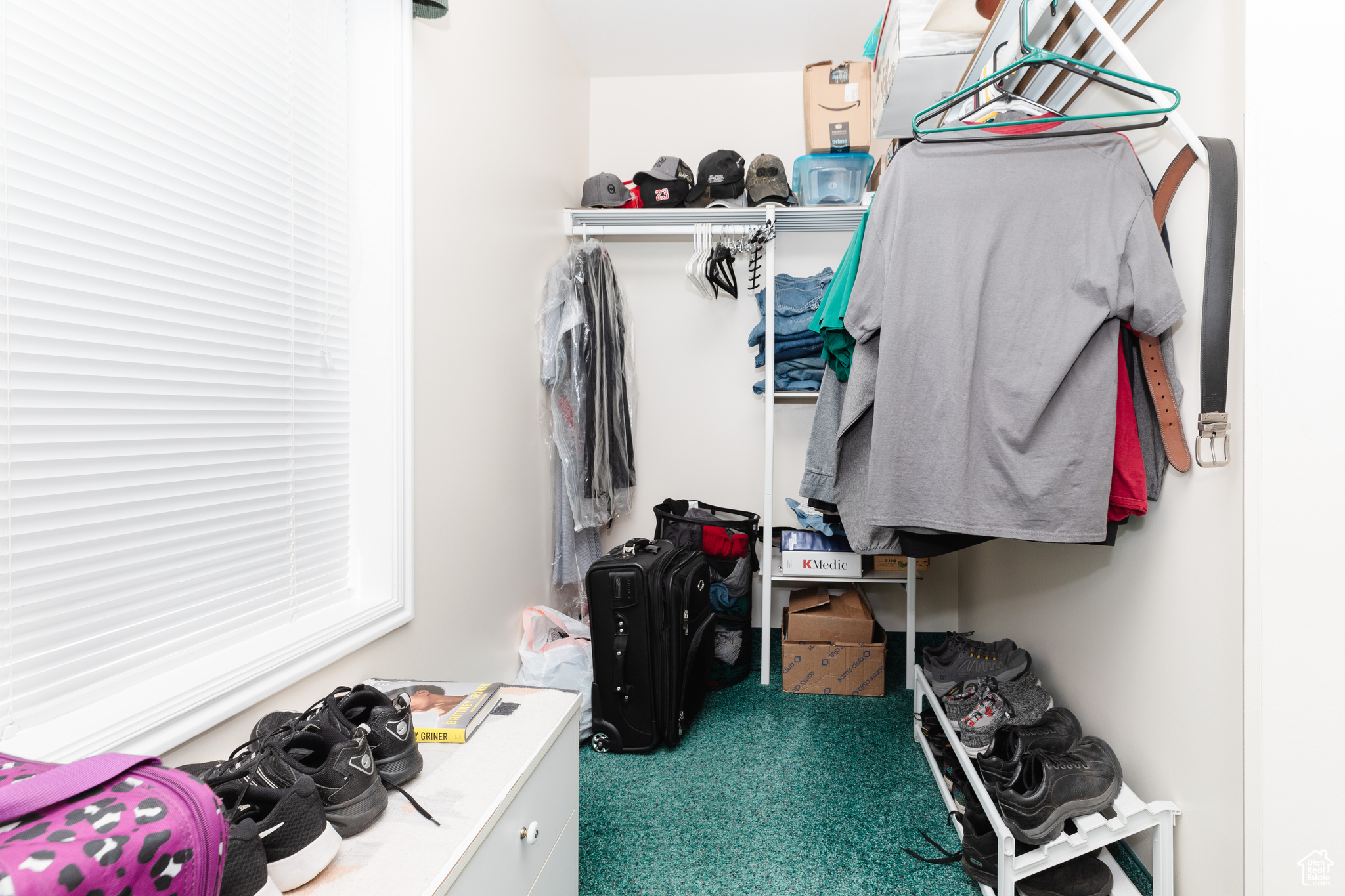 Spacious closet featuring carpet