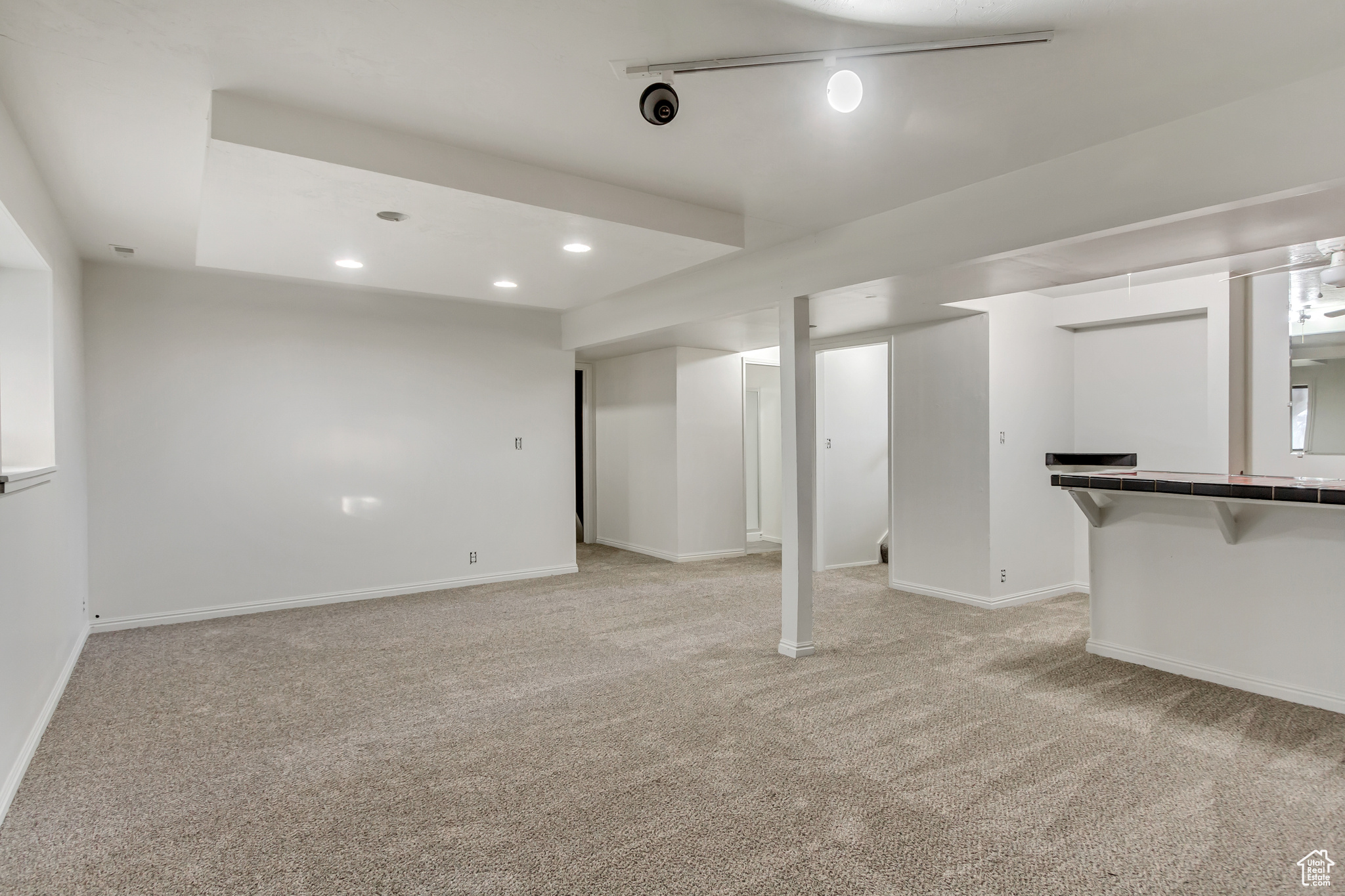 Basement featuring light carpet