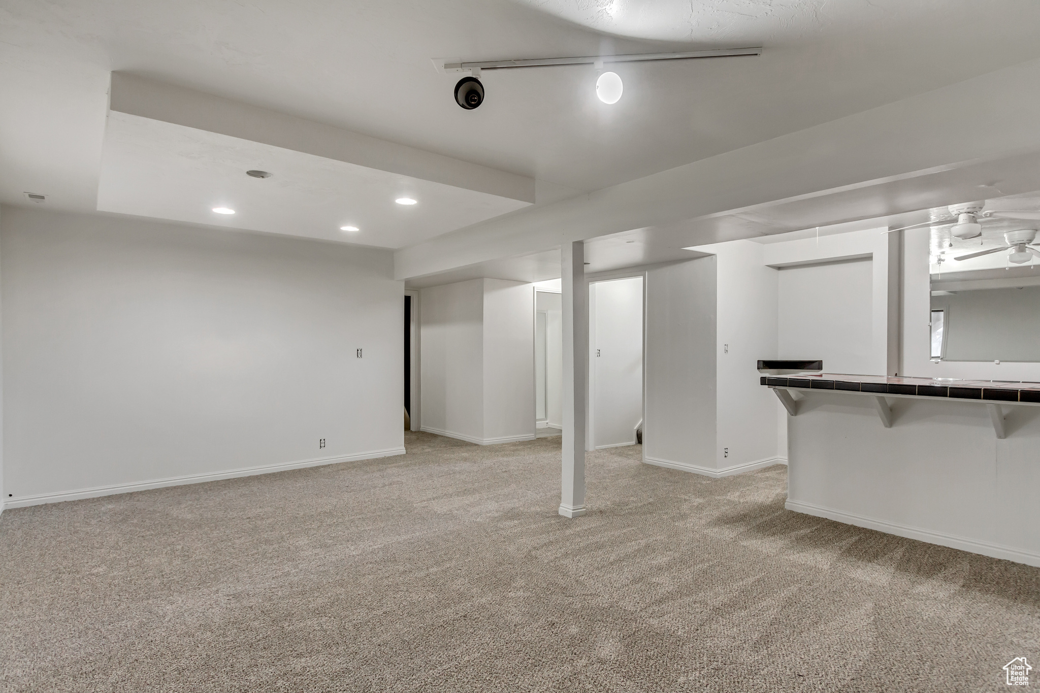 Basement featuring light carpet