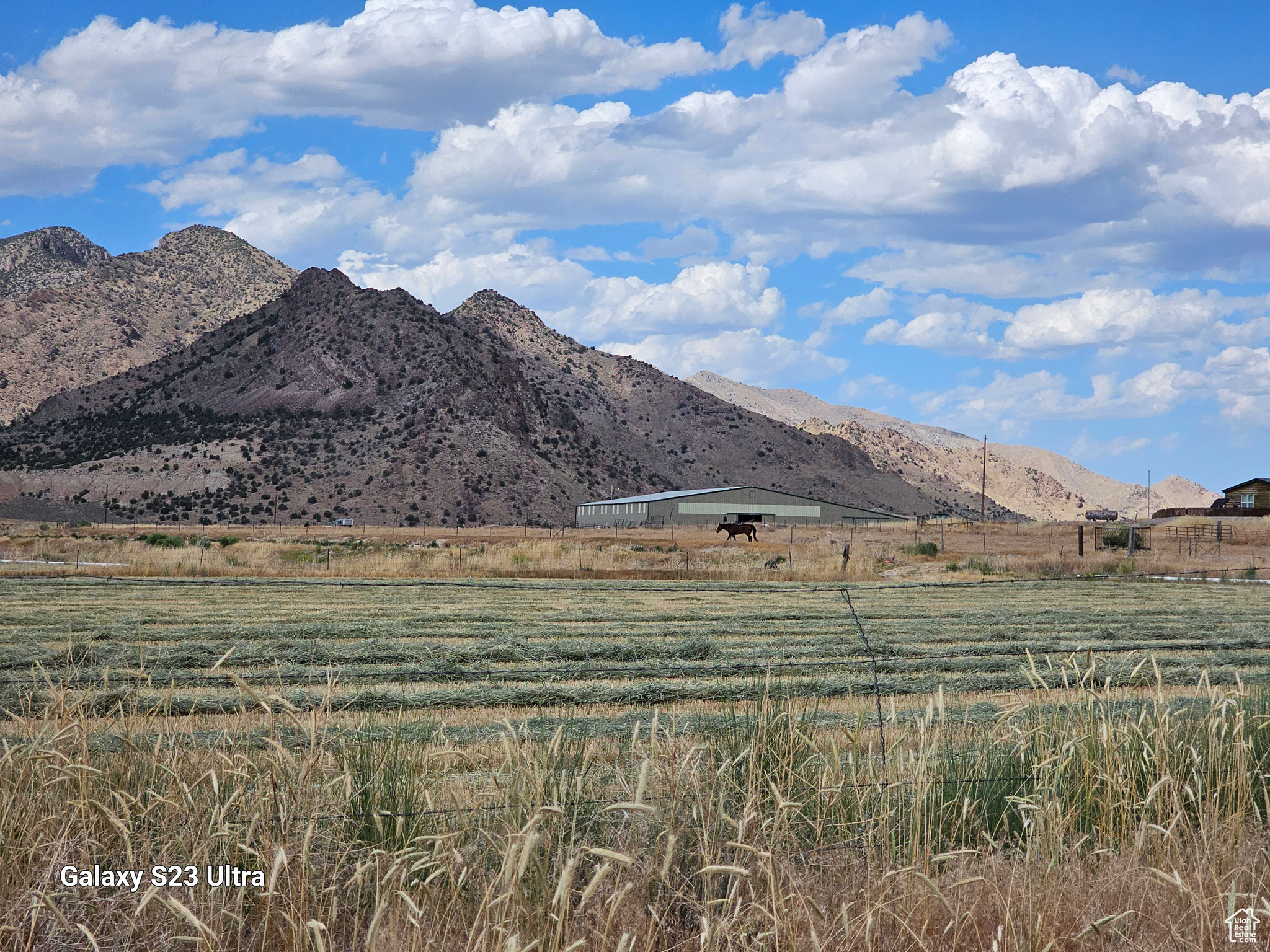 Looking North over the Farm/Ramh